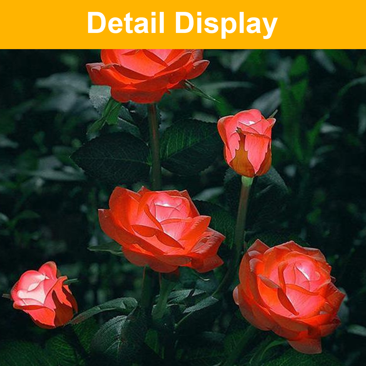 Mehrere leuchtend orangefarbene Rosen mit dunklen Blättern im Hintergrund.