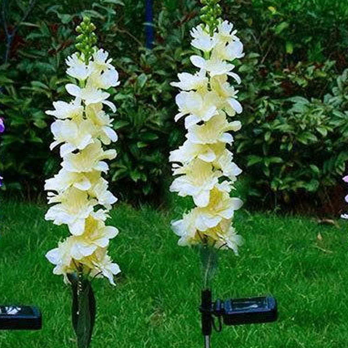 Zwei weiße Blumen mit Solarleuchten im Gras.