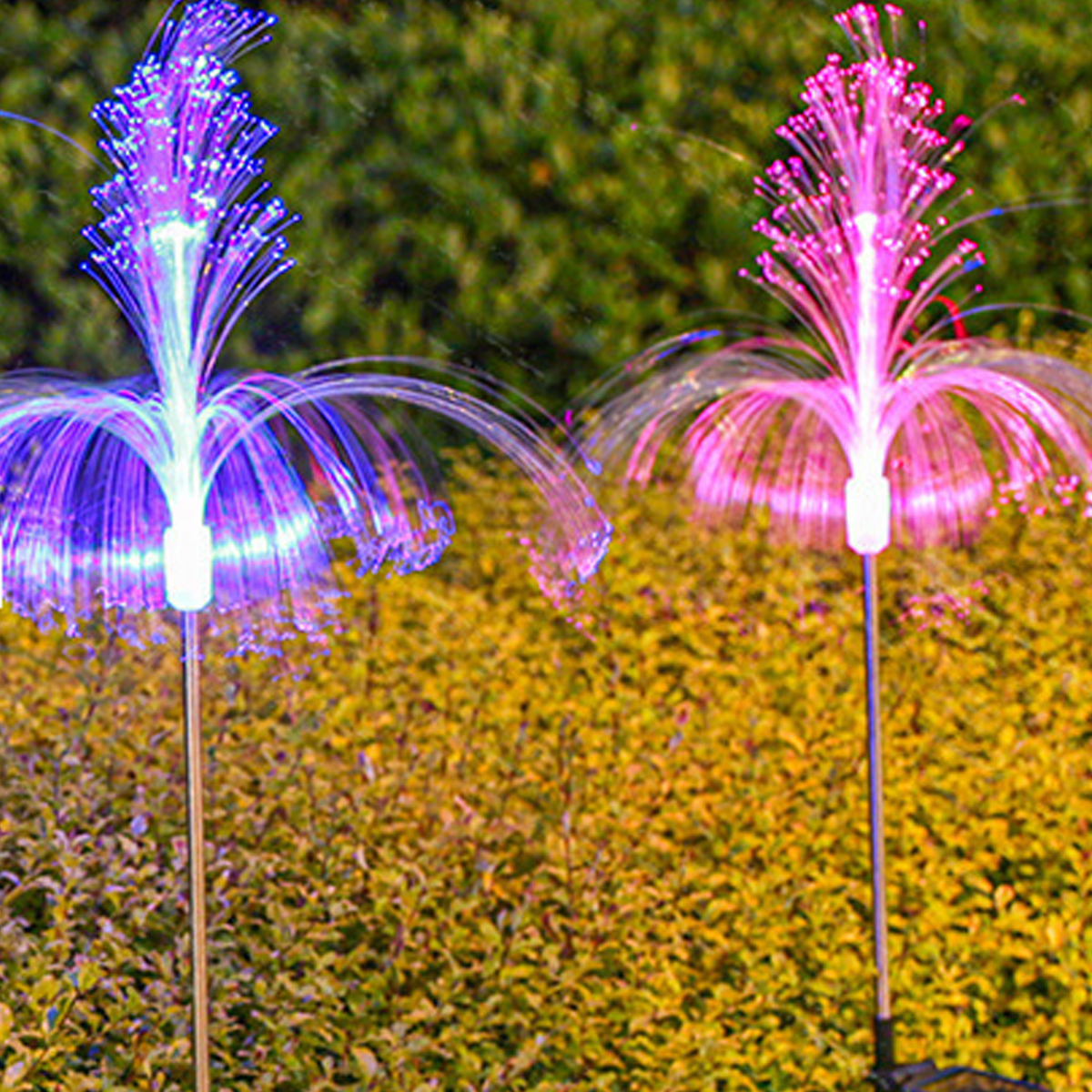Zwei Solar-Gartenleuchten mit Faseroptik in Lila und Pink beleuchten einen Busch.