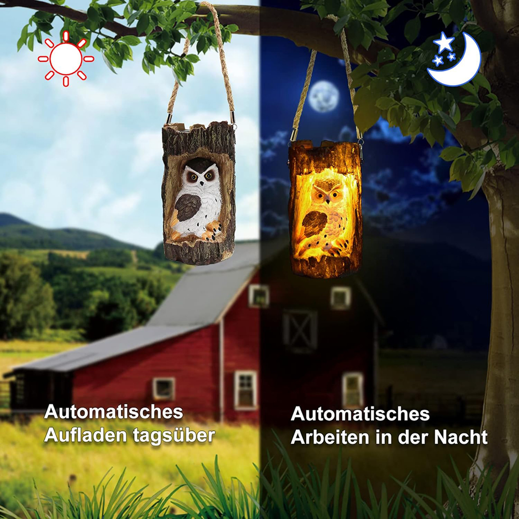 Eule-Laternen hängen an einem Baum, Tag/Nacht-Vergleich.