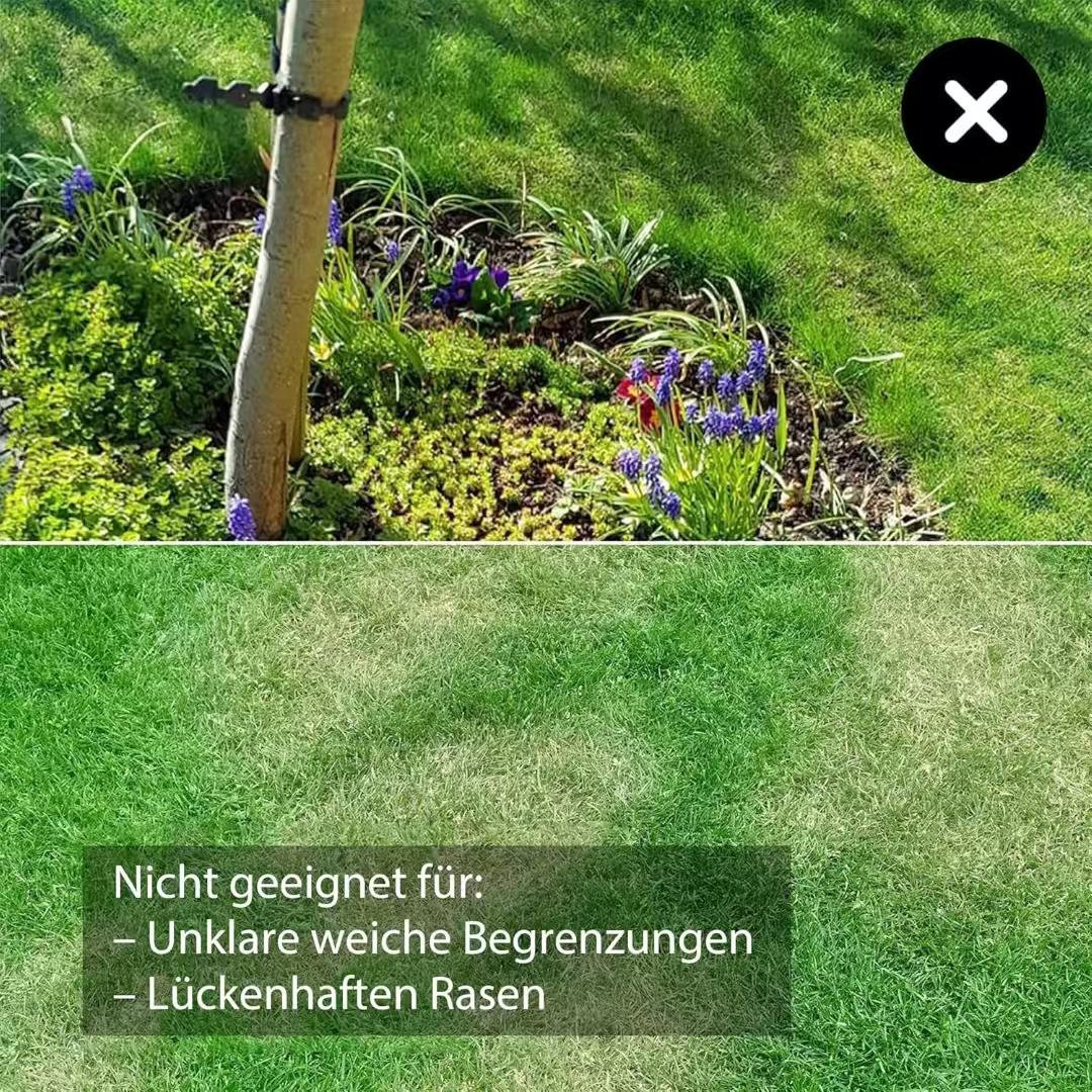 Gras mit Blumen und ein Baumstamm, darunter Rasen.
