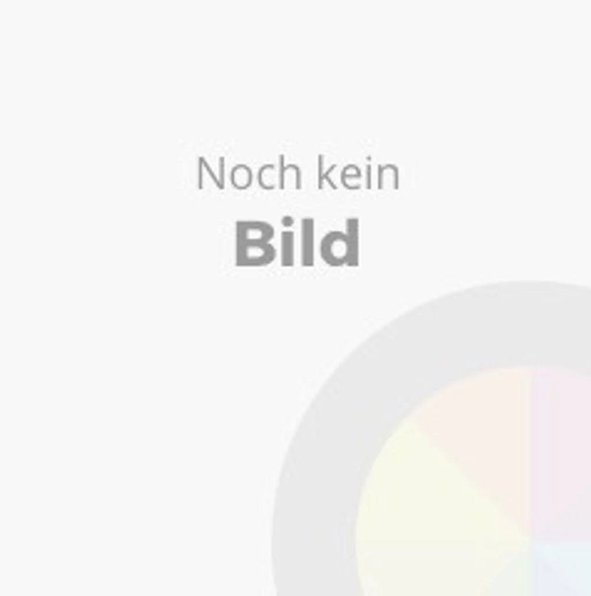 Sfondo grigio con testo 'Noch kein Bild' e ruota dei colori.