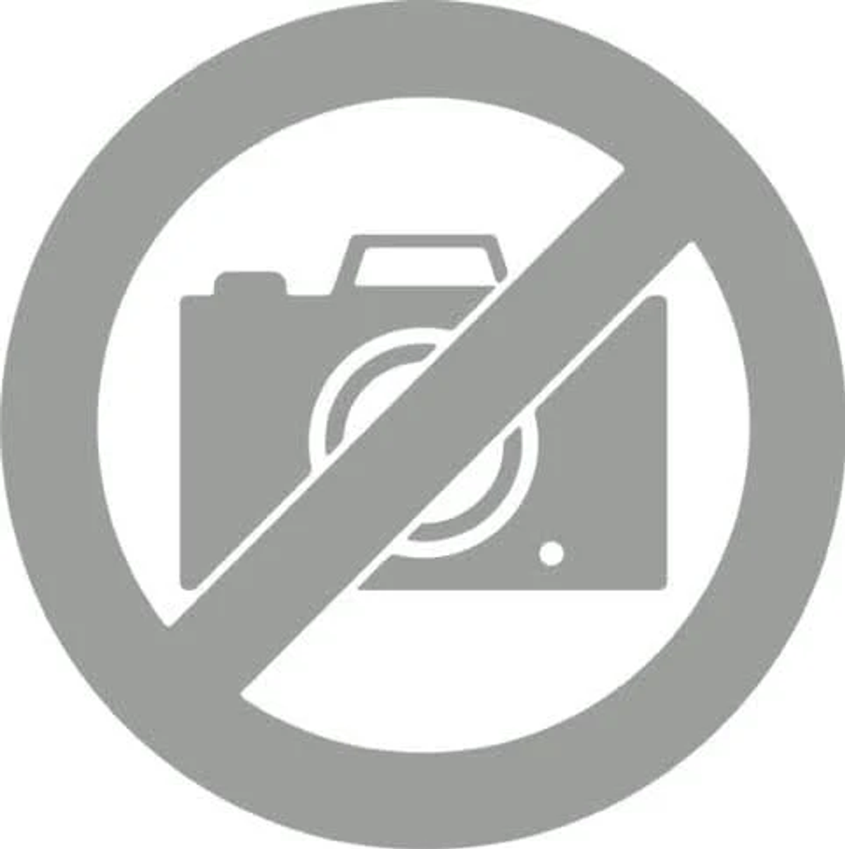 Simbolo di fotocamera vietata su sfondo bianco.