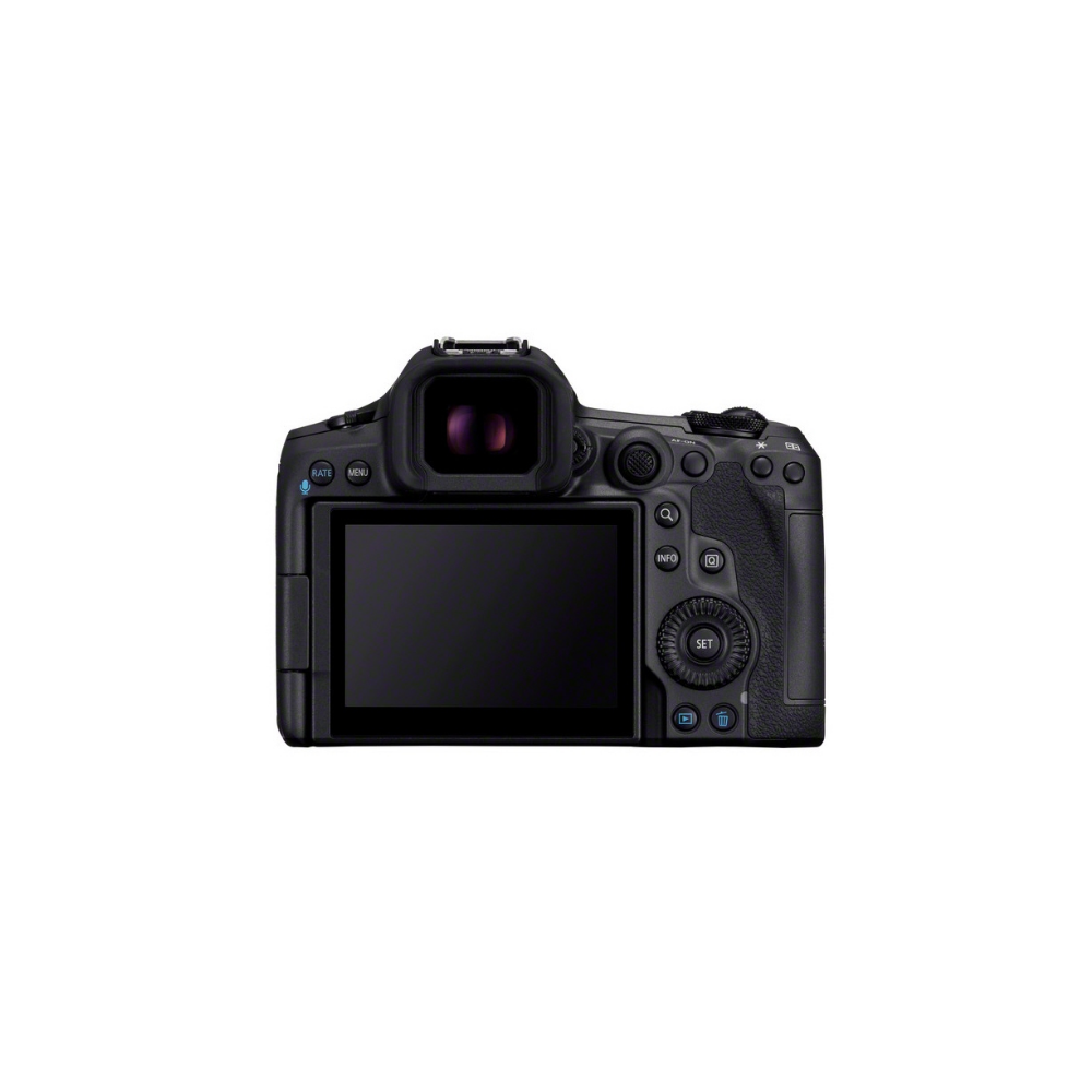Achterkant van een zwarte digitale camera met LCD-scherm en zoeker.