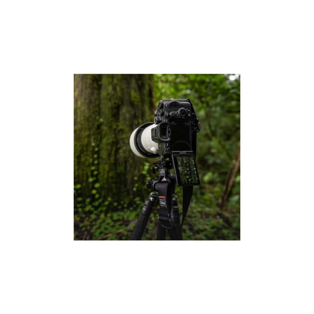 Een camera met lens op statief in een bos.