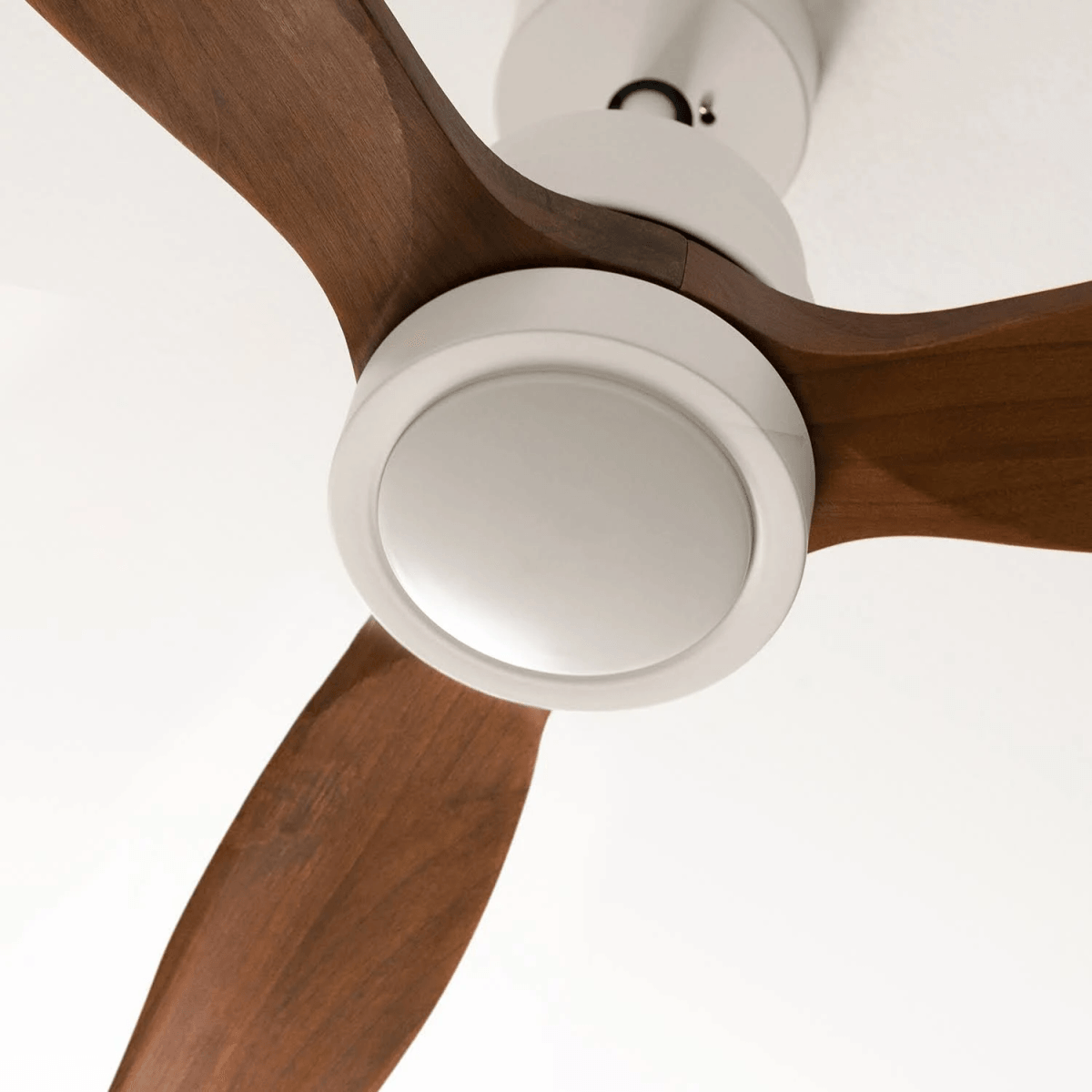 Un ventilador de techo moderno con tres aspas de madera y carcasa blanca.