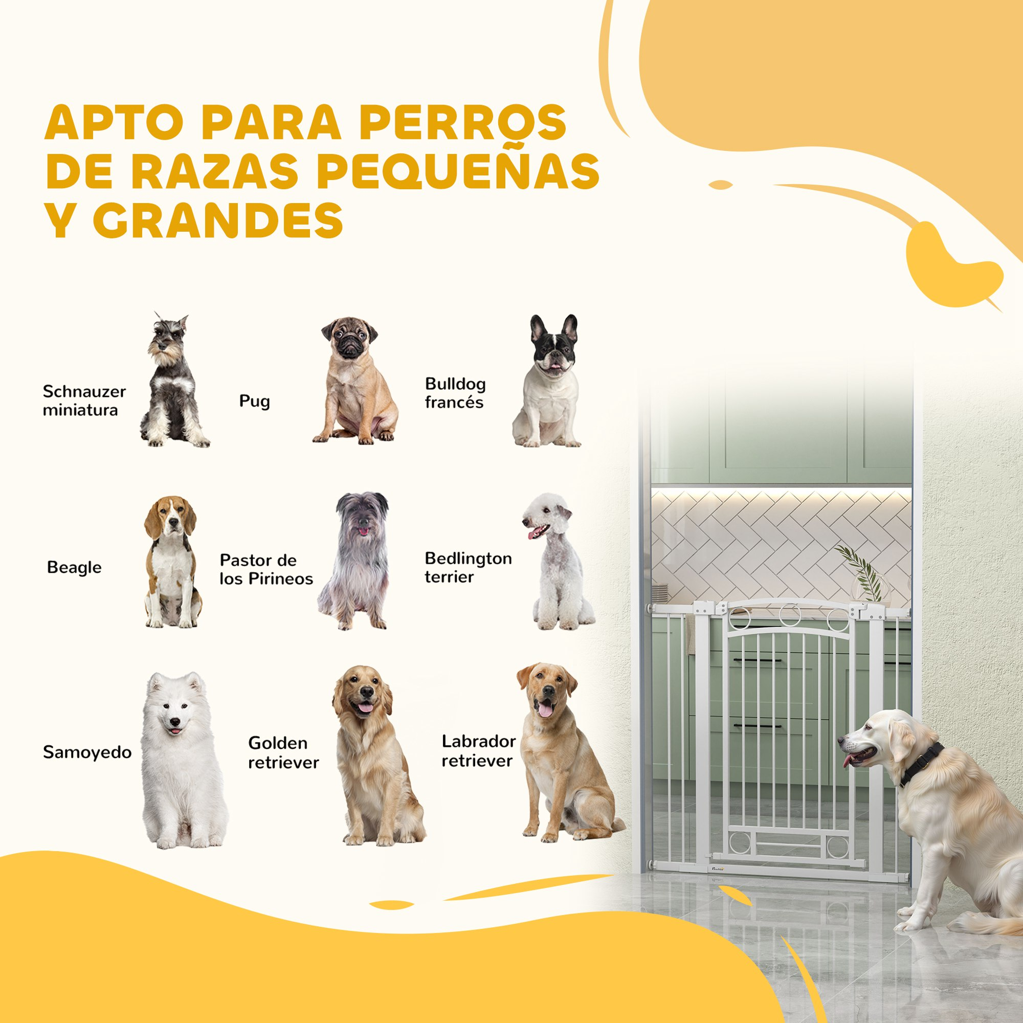 Varios perros como Schnauzer, Pug, Beagle, Golden Retriever.