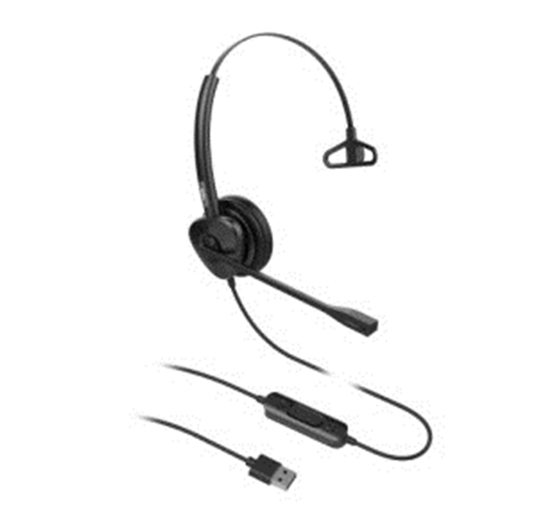 Cuffie nere con microfono e connettore USB, su sfondo bianco.