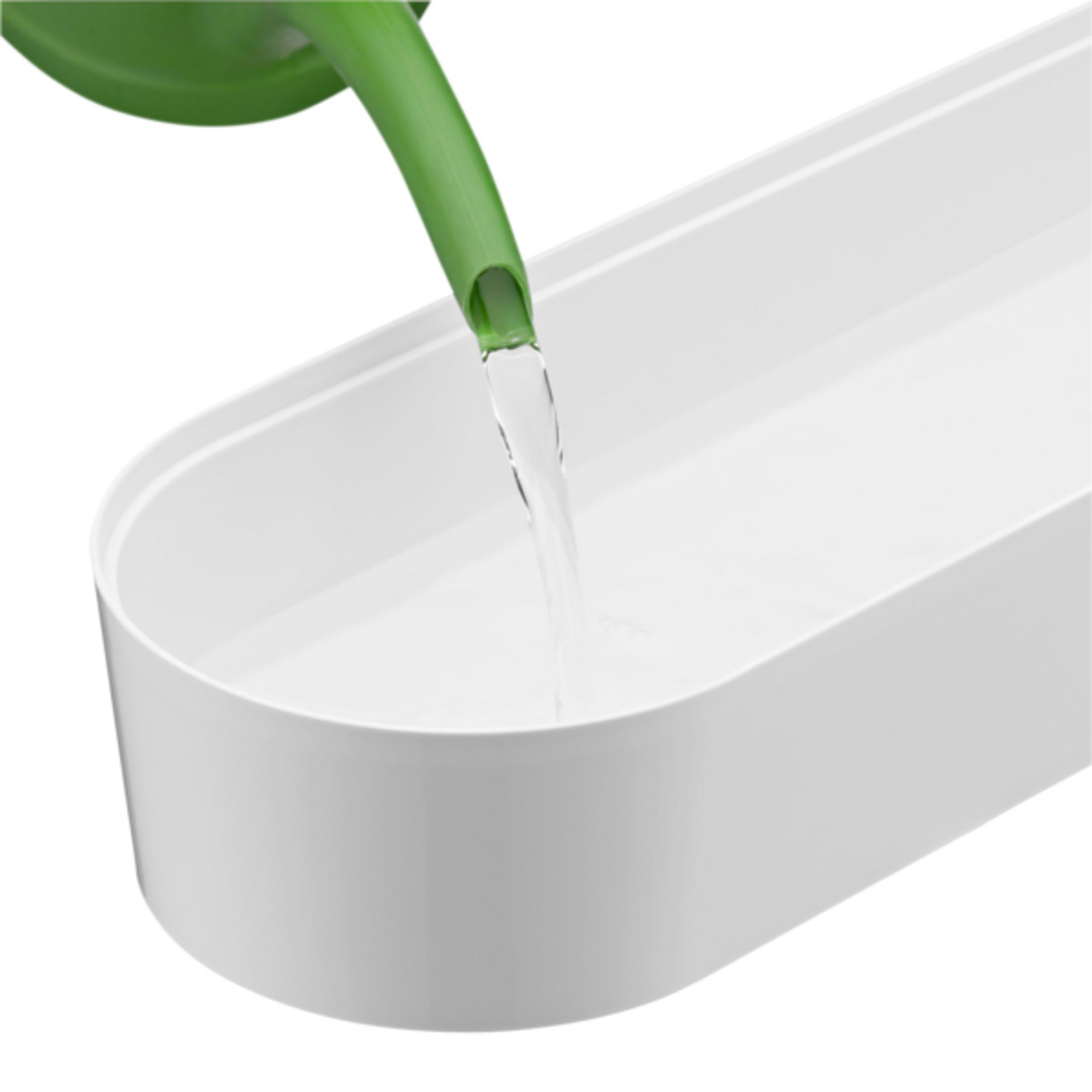Grüne Gießkanne füllt ein weißes Gefäß mit Wasser.