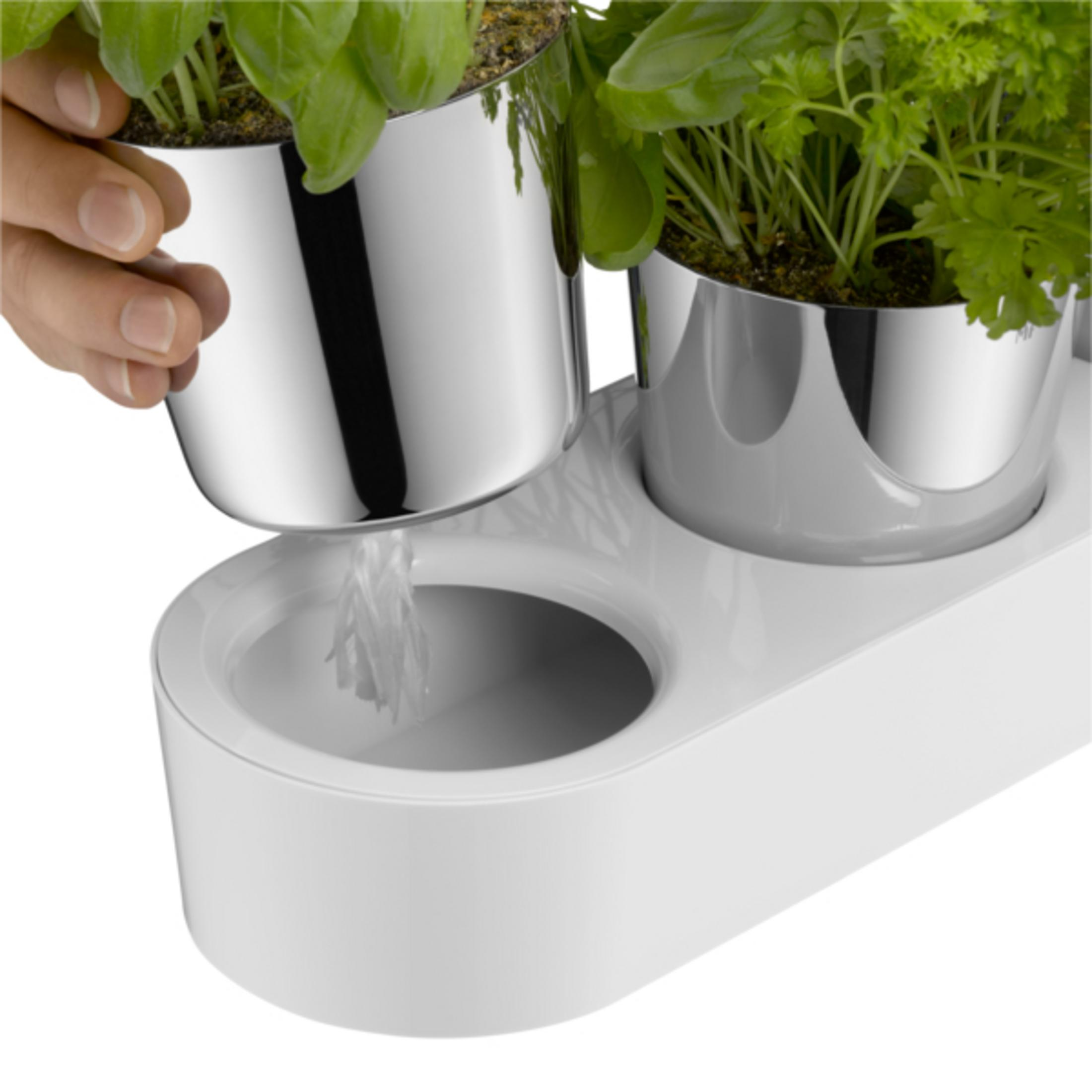 Eine Hand hält einen Topf mit Kräutern über einen weißen Behälter, aus dem Wasser tropft.