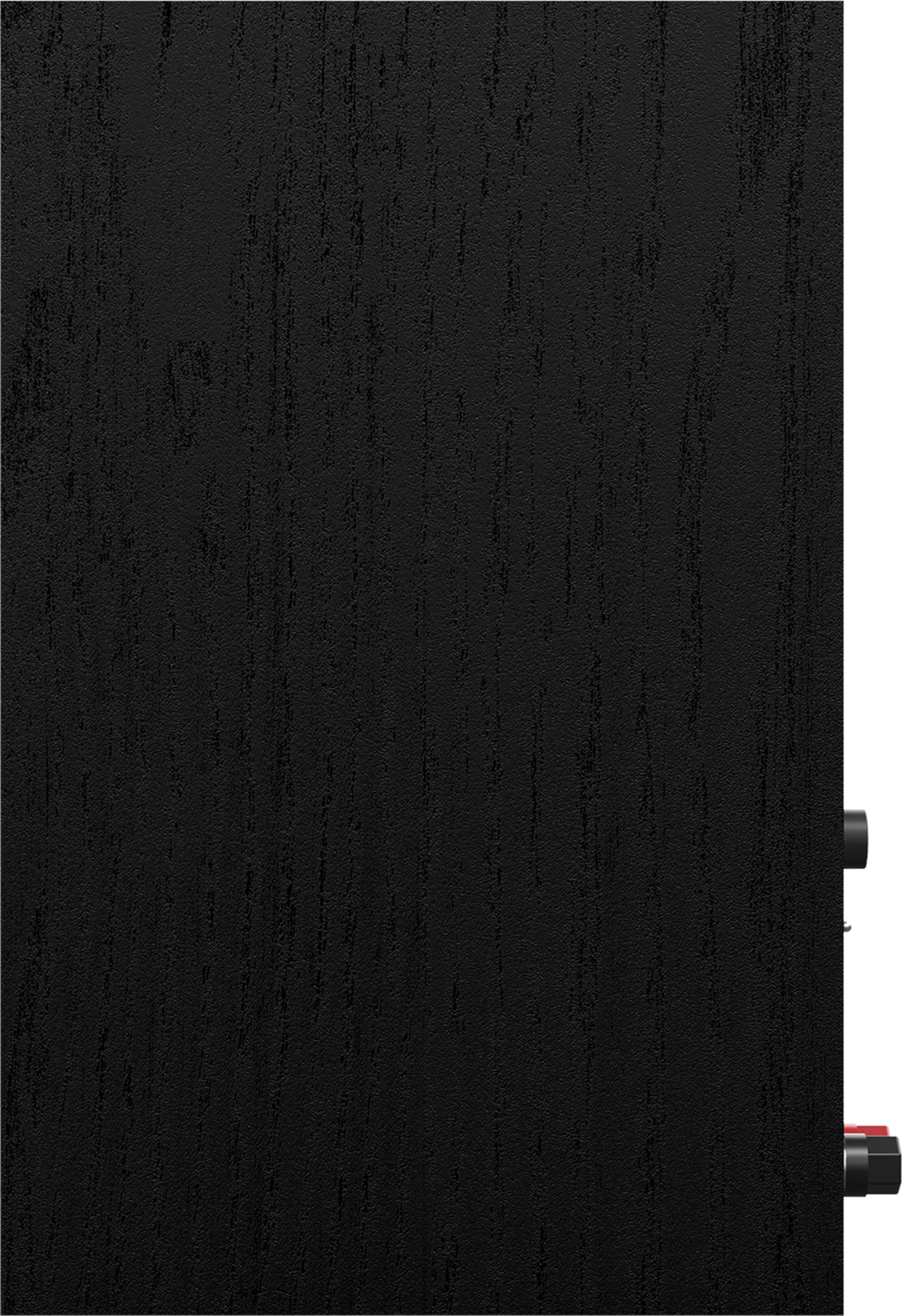 Altoparlante nero con texture venata del legno e connettori.