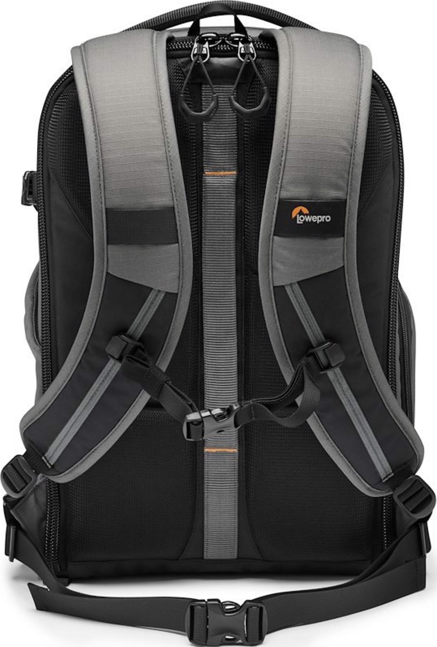 Back view of a black and gray Lowepro backpack with padded straps and buckles.