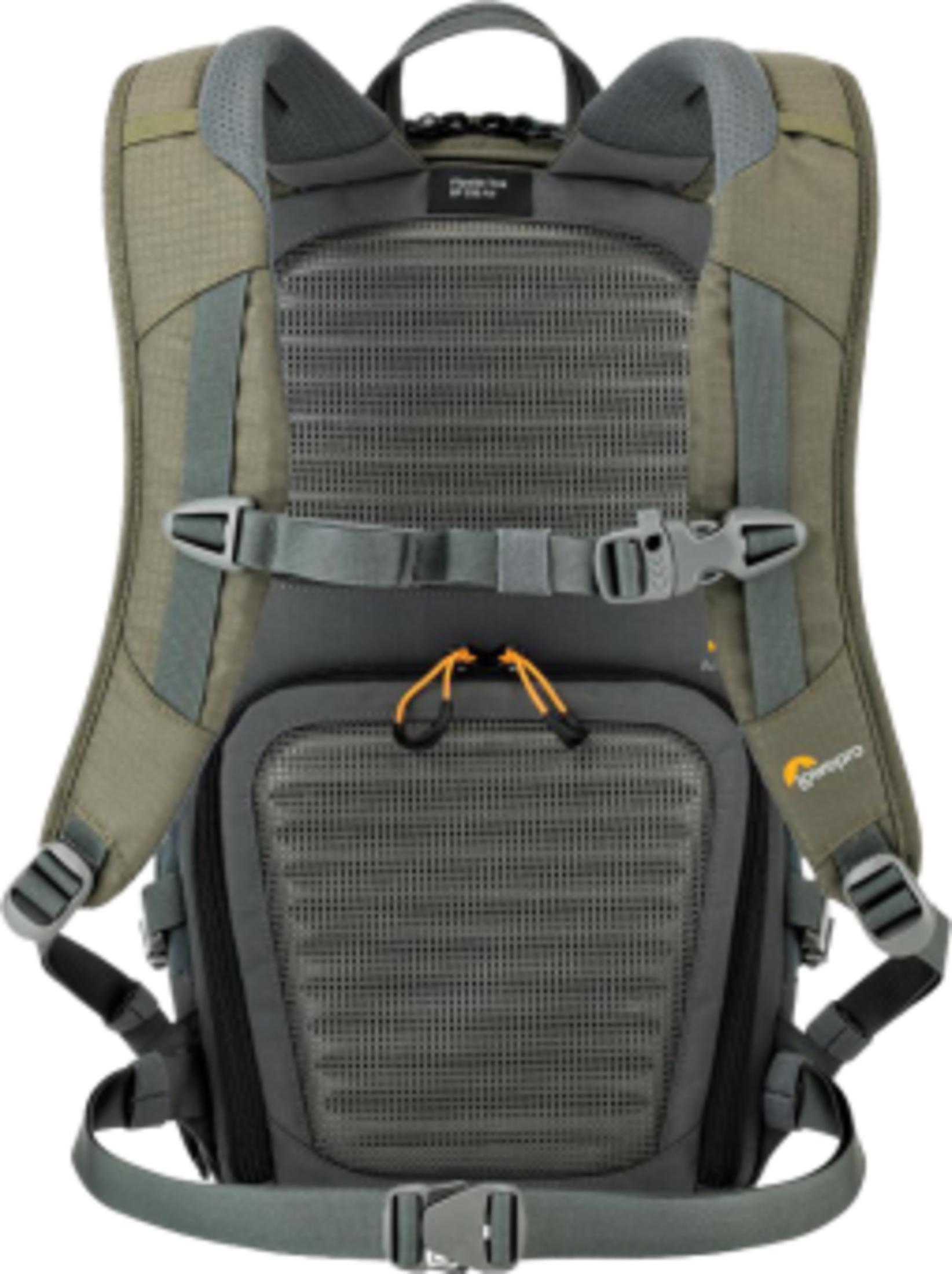 Vue arrière d'un sac à dos vert olive et gris avec rembourrage en maille et boucles.