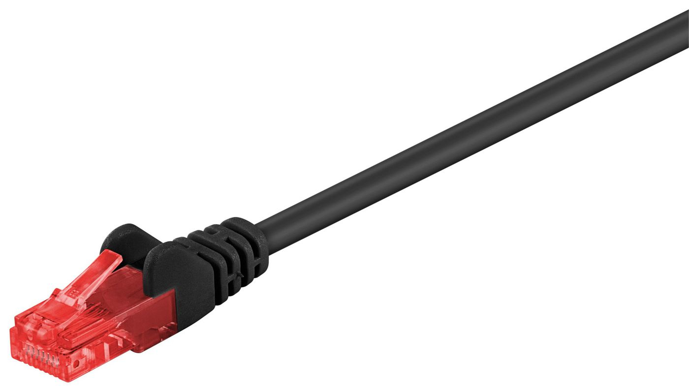 Un cavo di rete nero con connettore RJ45 rosso su sfondo bianco.