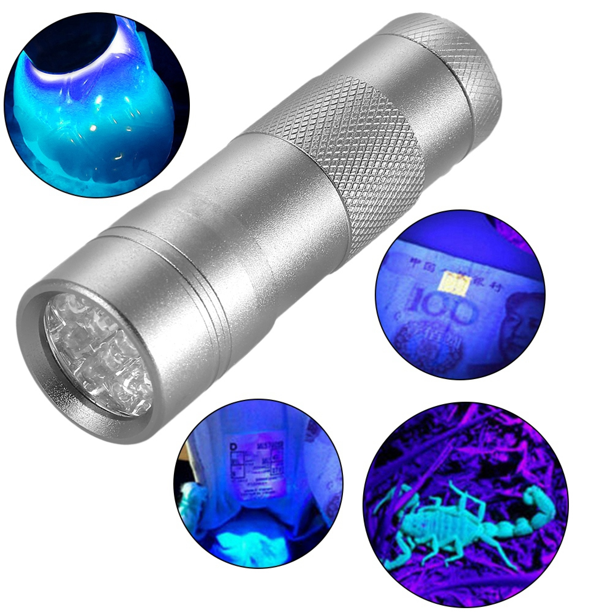 Silberne UV-Taschenlampe zeigt fluoreszierende Objekte: Flüssigkeit, Geldschein, Skorpion.