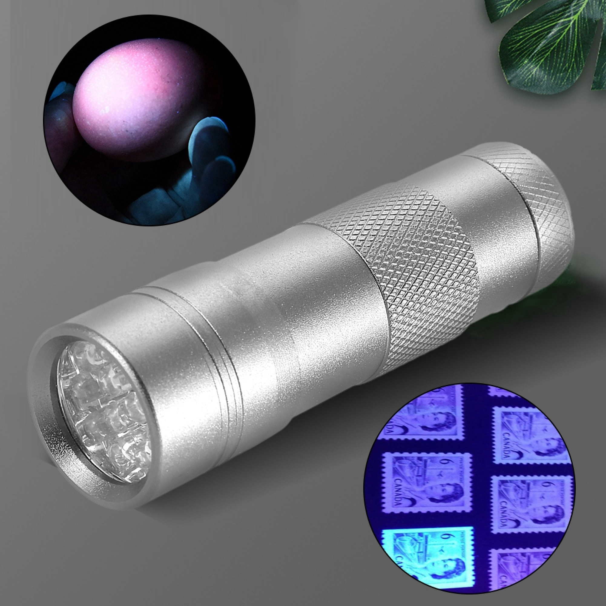Eine UV-Taschenlampe beleuchtet ein Ei und Briefmarken.