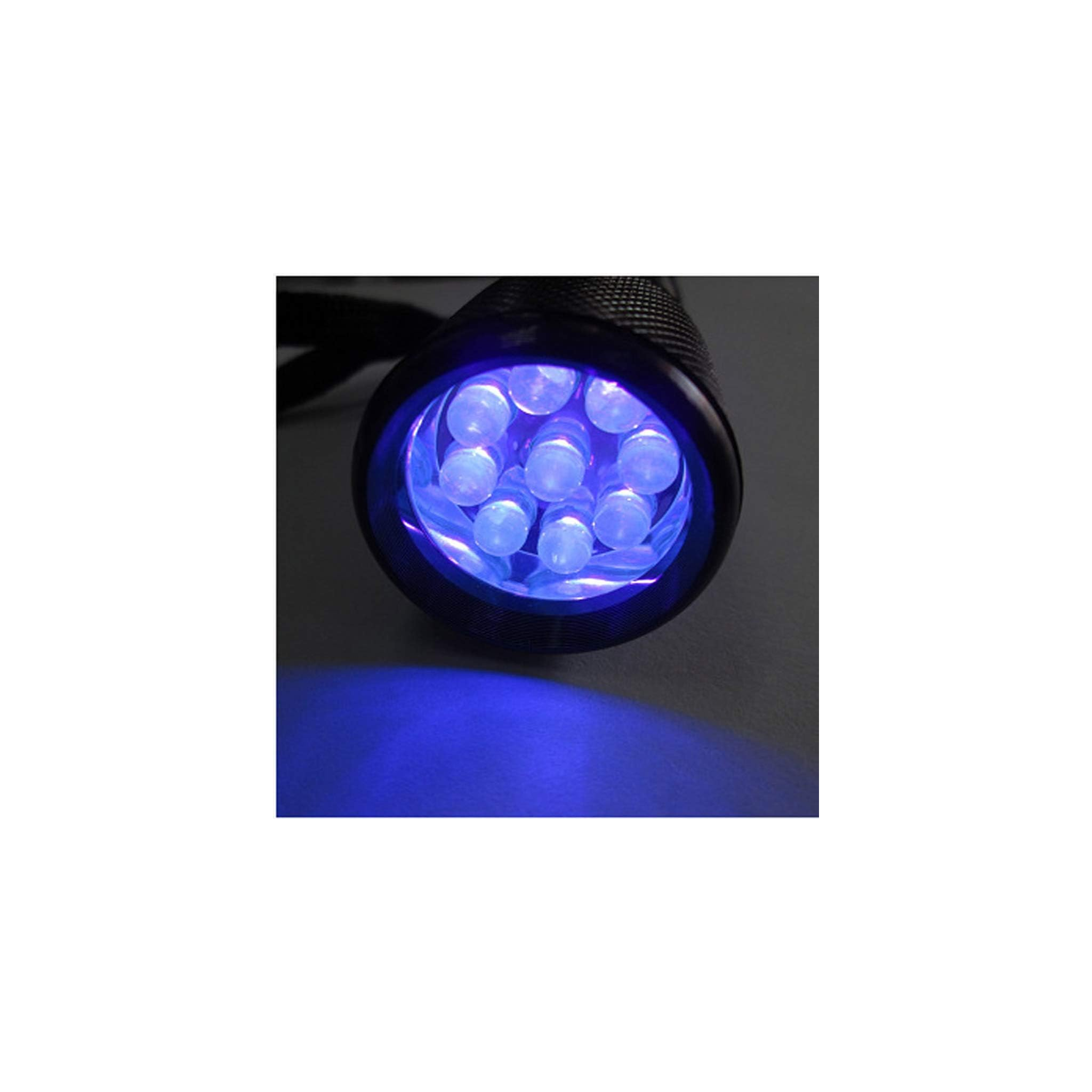 Eine schwarze Taschenlampe leuchtet mit neun blauen LEDs.