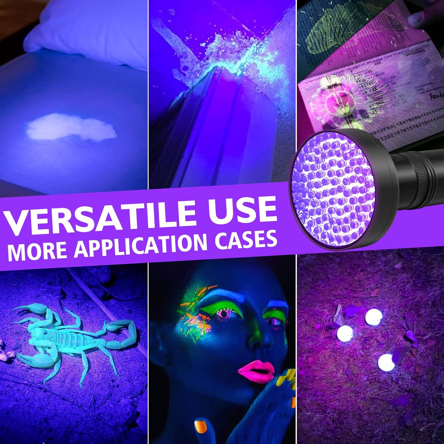 Ein UV-Licht leuchtet einen Skorpion, eine Person, einen Pass und eine Wiese an.