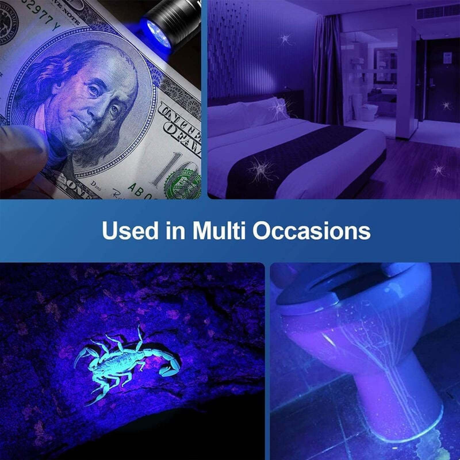 UV-Lampe beleuchtet Geldschein, Skorpion, Schlafzimmer und Toilette.