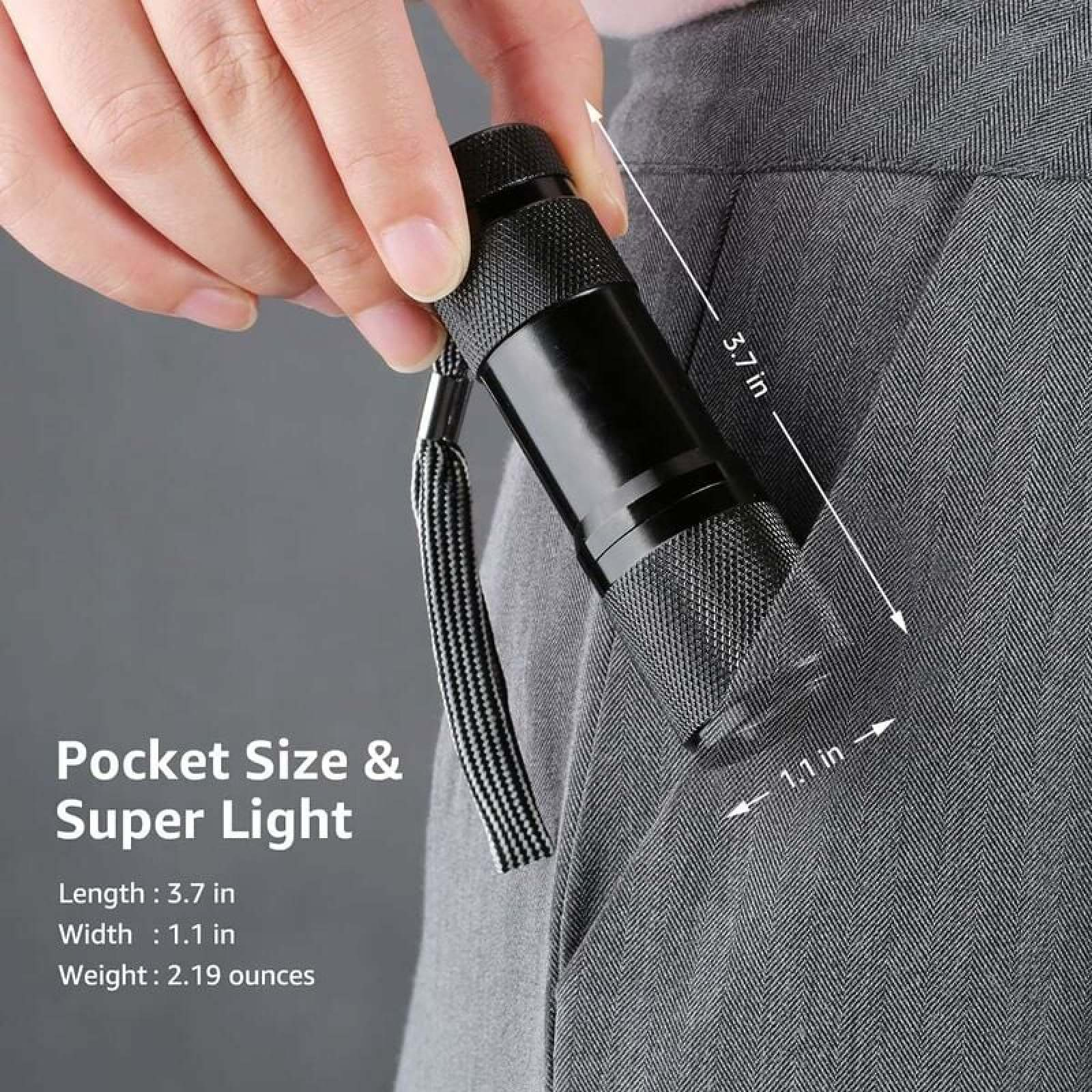 Eine Hand hält eine kleine schwarze Taschenlampe, die in eine graue Hose gesteckt wird.