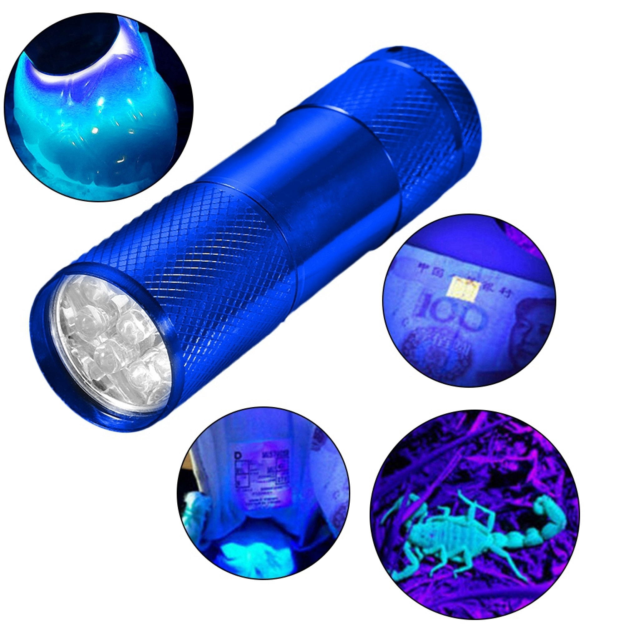 Blaue UV-Taschenlampe mit vier Kreisen, die leuchtende Objekte zeigen.