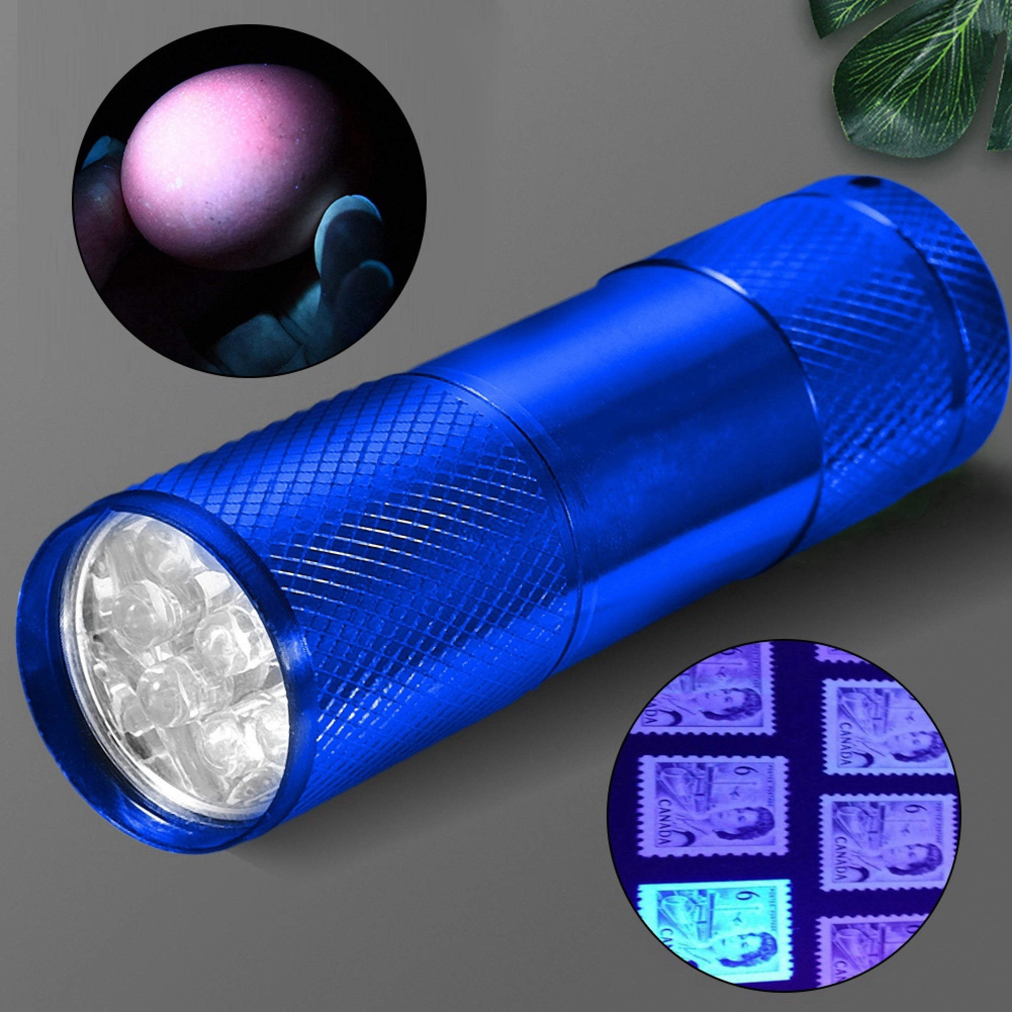 Eine blaue UV-Taschenlampe leuchtet auf Briefmarken und ein Ei.