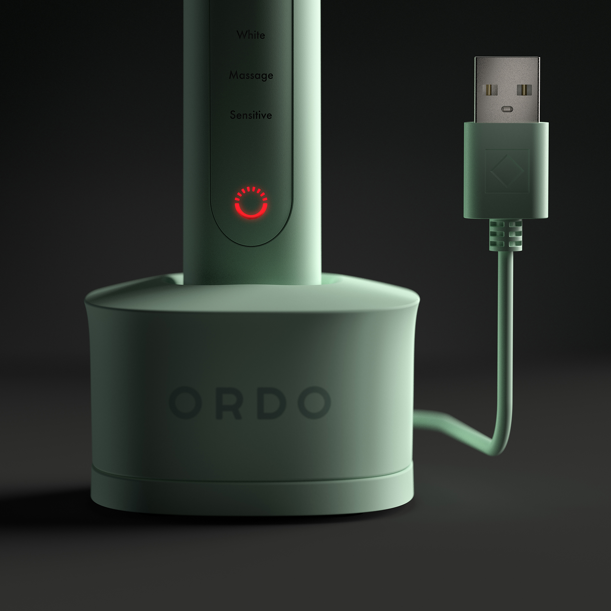 Ein grüner Zahnbürstenständer mit USB-Kabel und Ladegerät auf dunklem Hintergrund.