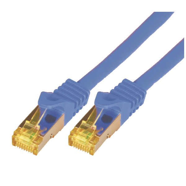 Zwei blaue Netzwerkkabel mit goldenen Steckern auf weißem Hintergrund.