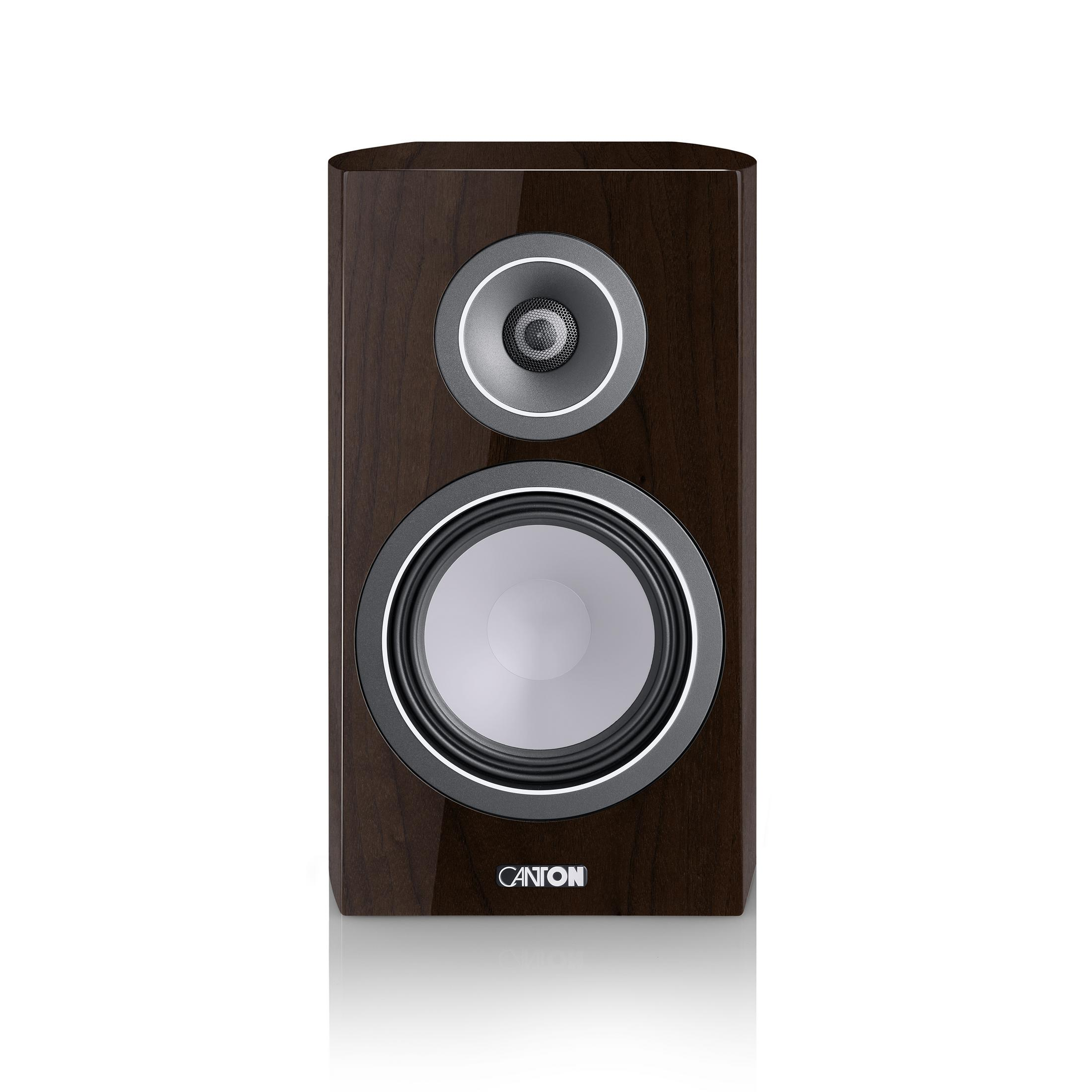 A dark wood speaker with a silver tweeter and woofer.