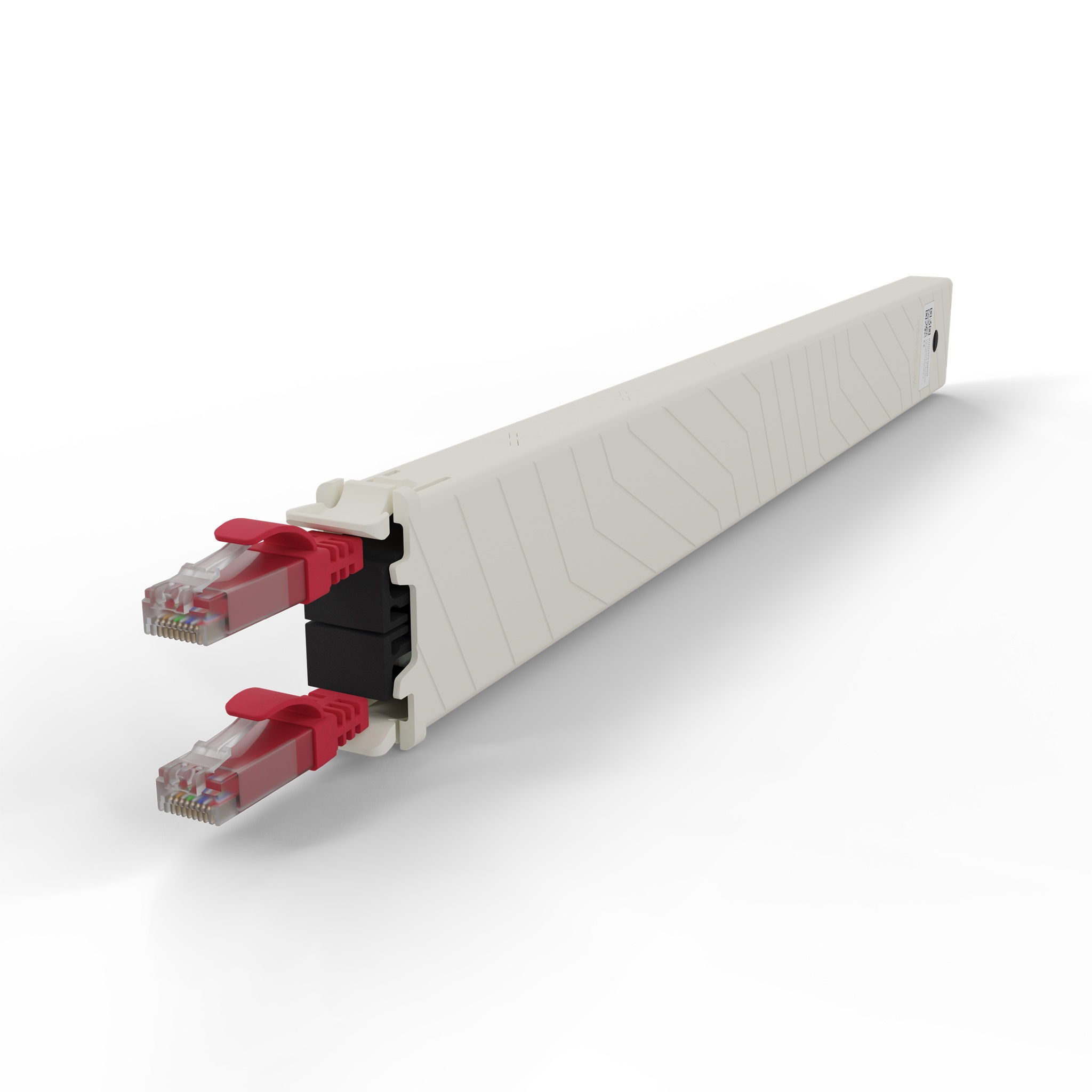 Un canalicchio per cavi beige con due connettori RJ45 rossi che sporgono dal centro.