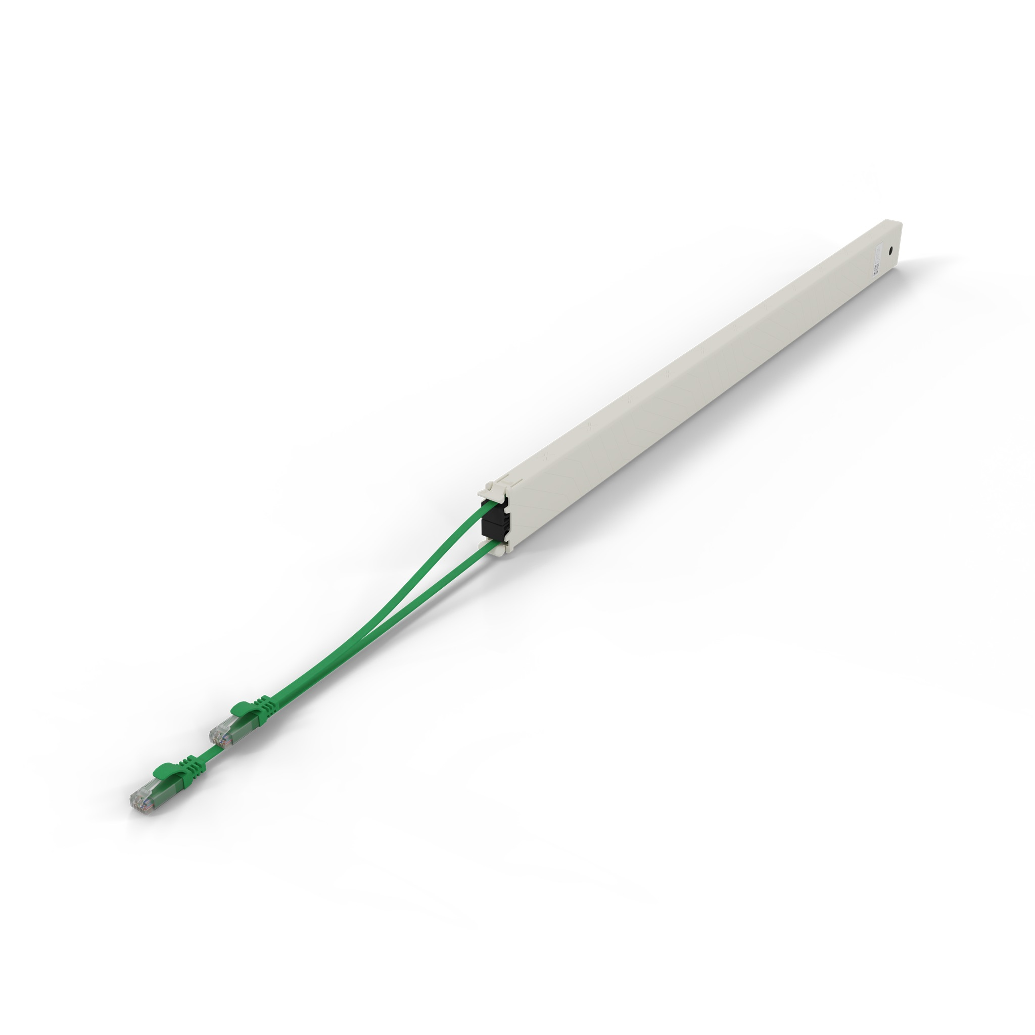 Un canalino bianco con due cavi Ethernet verdi.