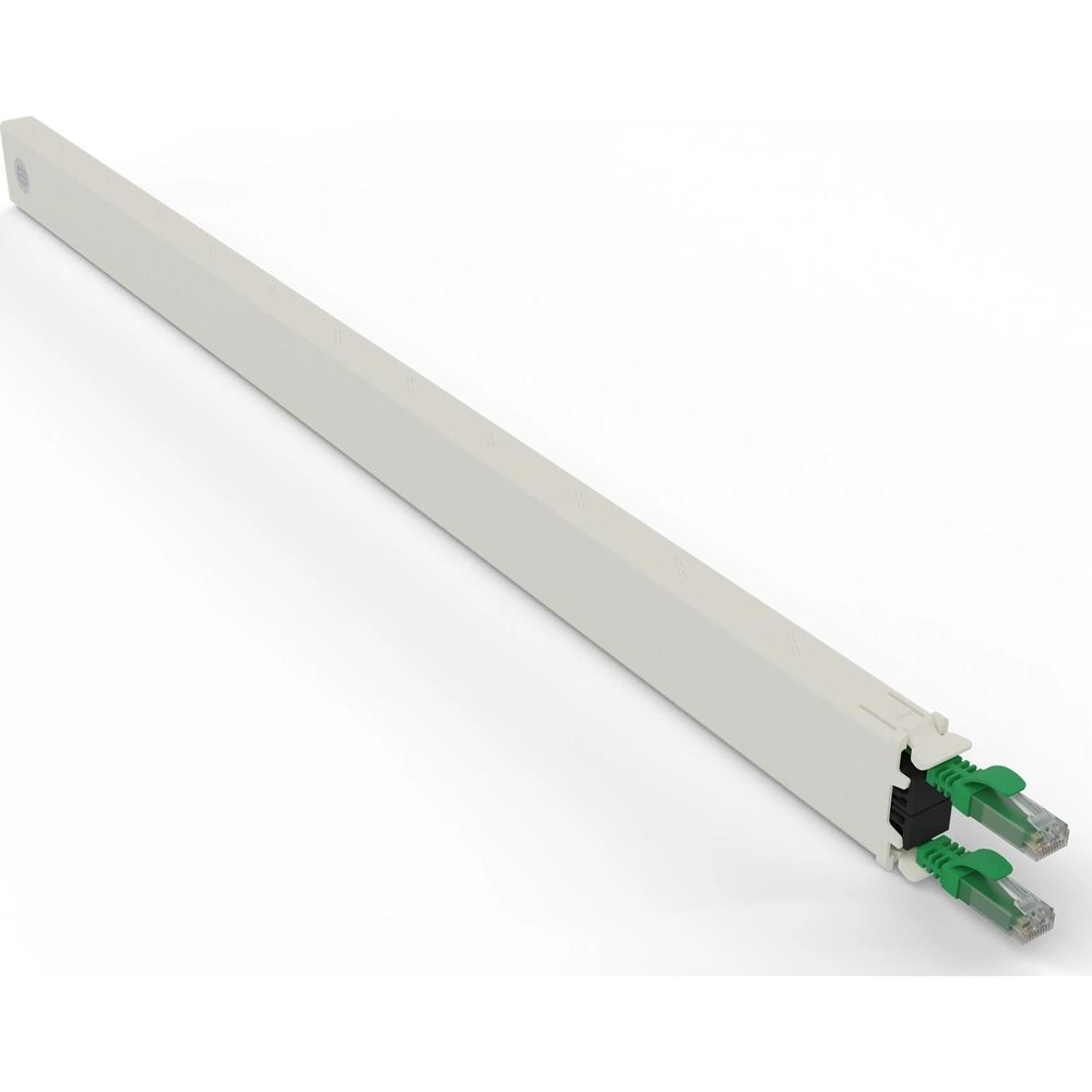 Un canalino bianco per la gestione dei cavi con due connettori RJ45 verdi visibili alla fine.