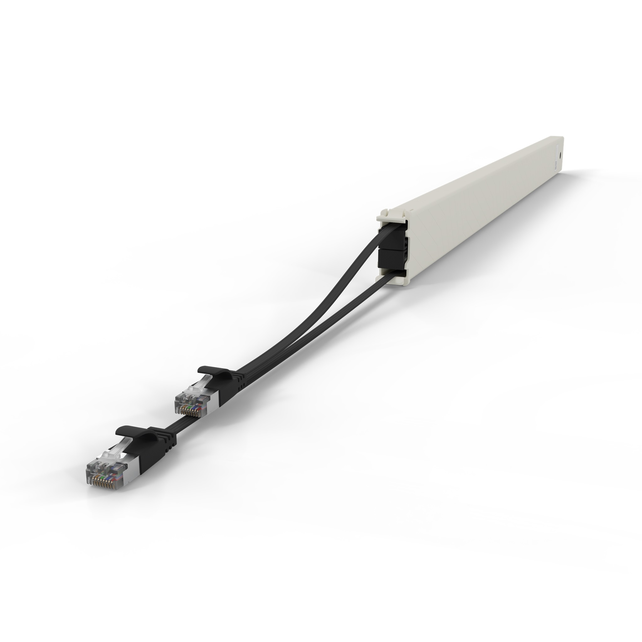 Un canale passacavi beige con due cavi Ethernet neri e connettori.
