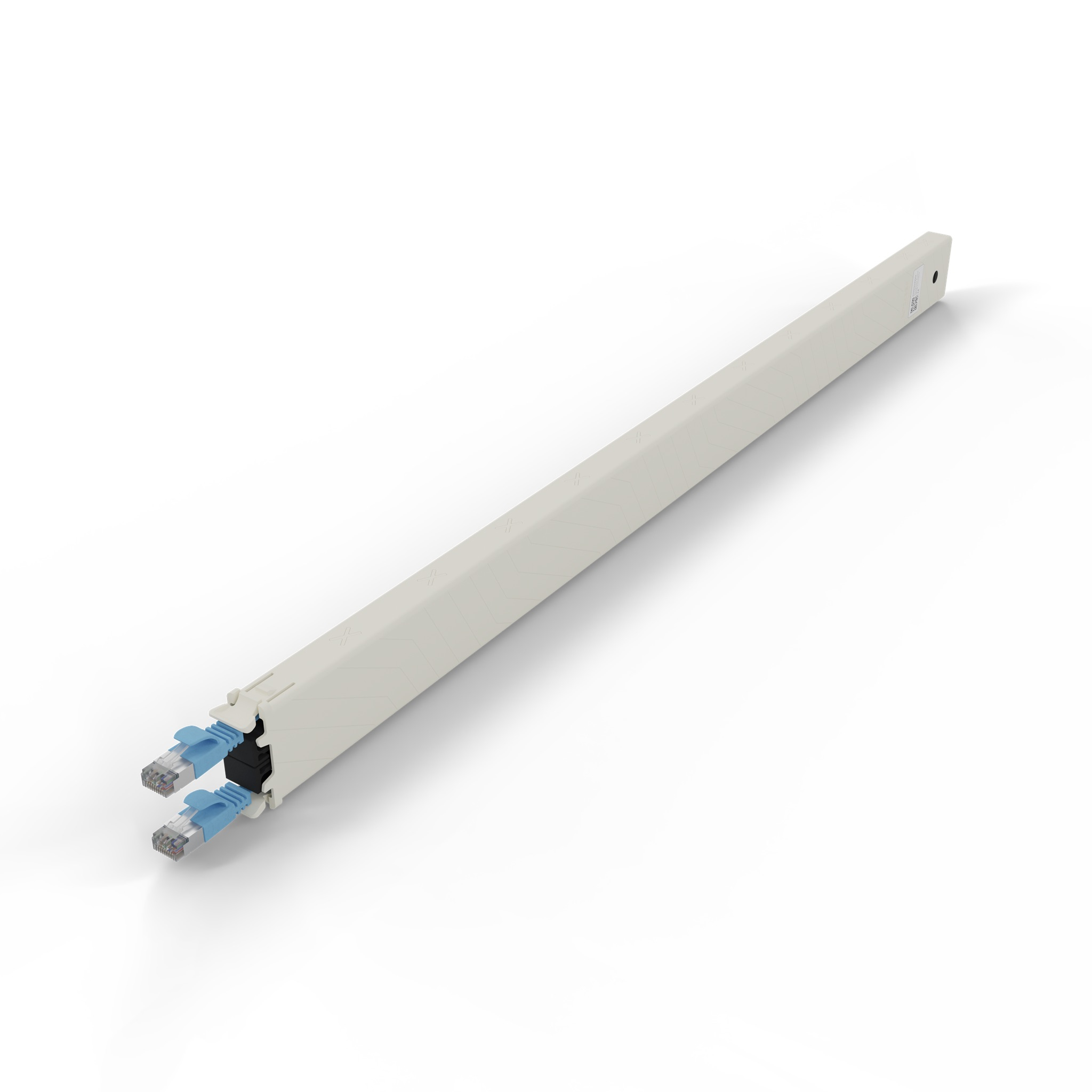 Una canalina passacavi beige con due connettori RJ45 blu.