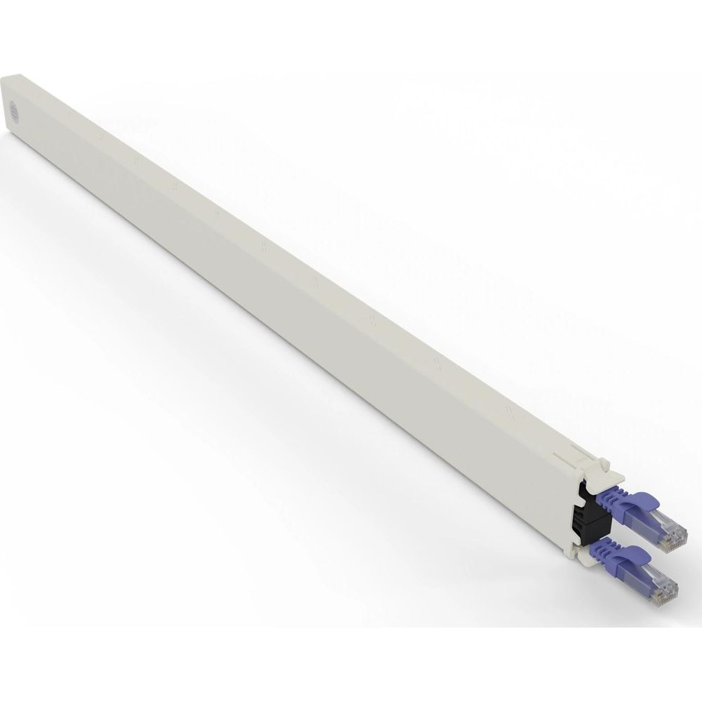 Una canalina portacavi beige con due cavi ethernet blu che escono.