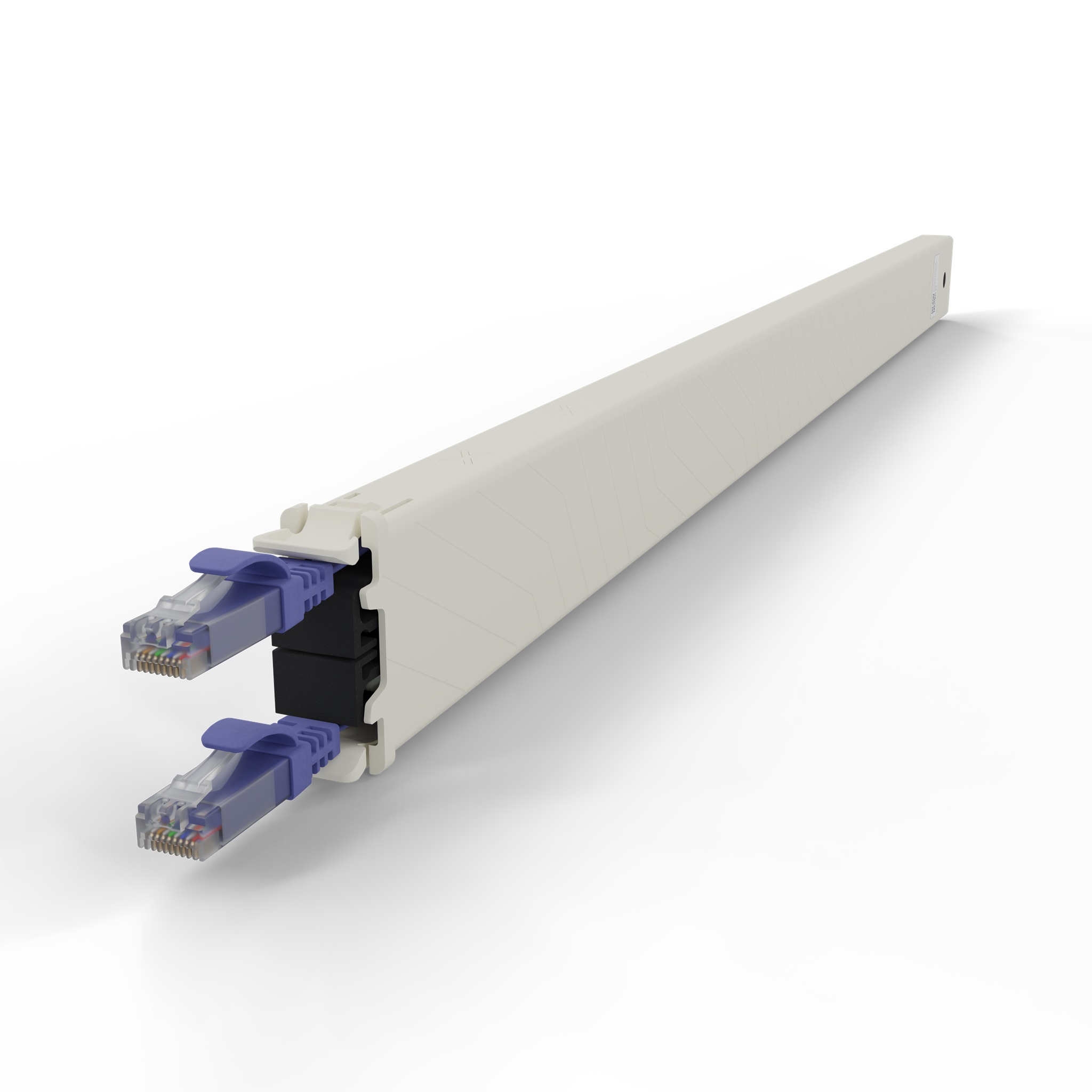 Un canale per cavi beige con due connettori Ethernet blu.
