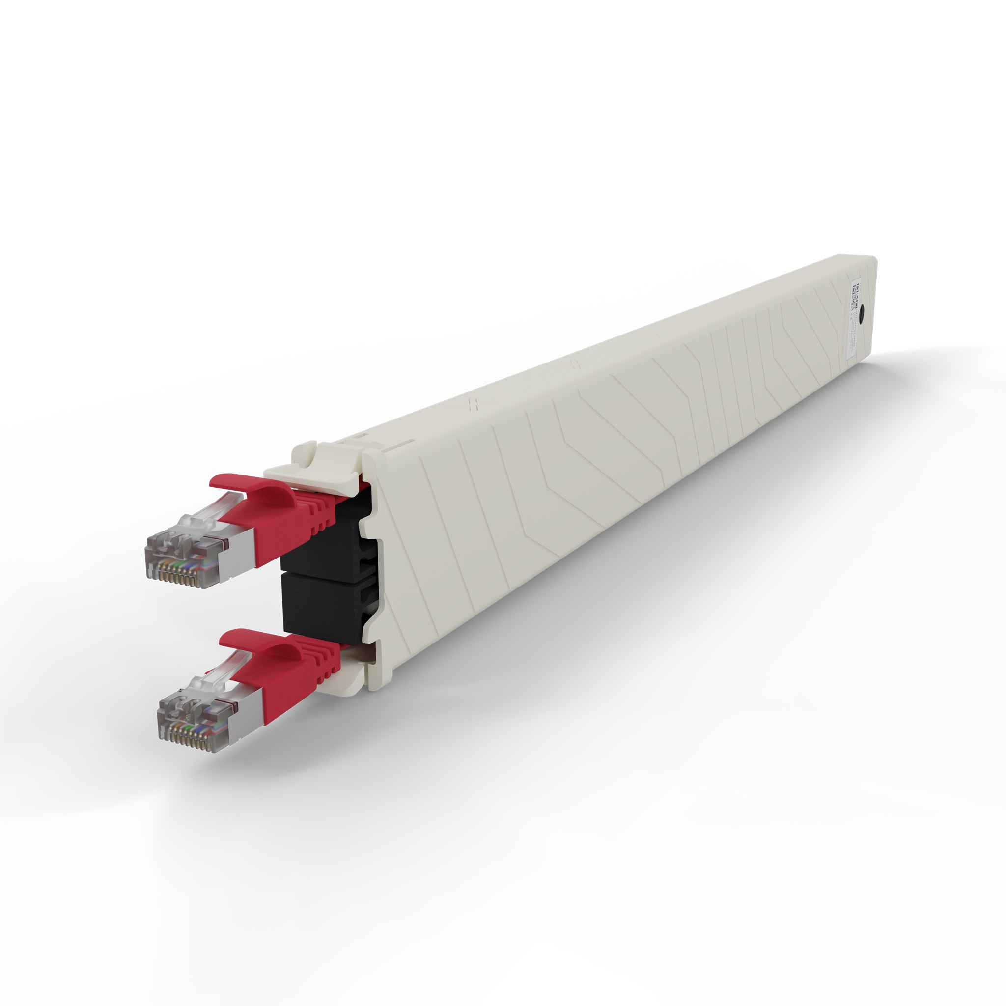 Un alloggiamento beige con due connettori Ethernet rossi e inserti neri.