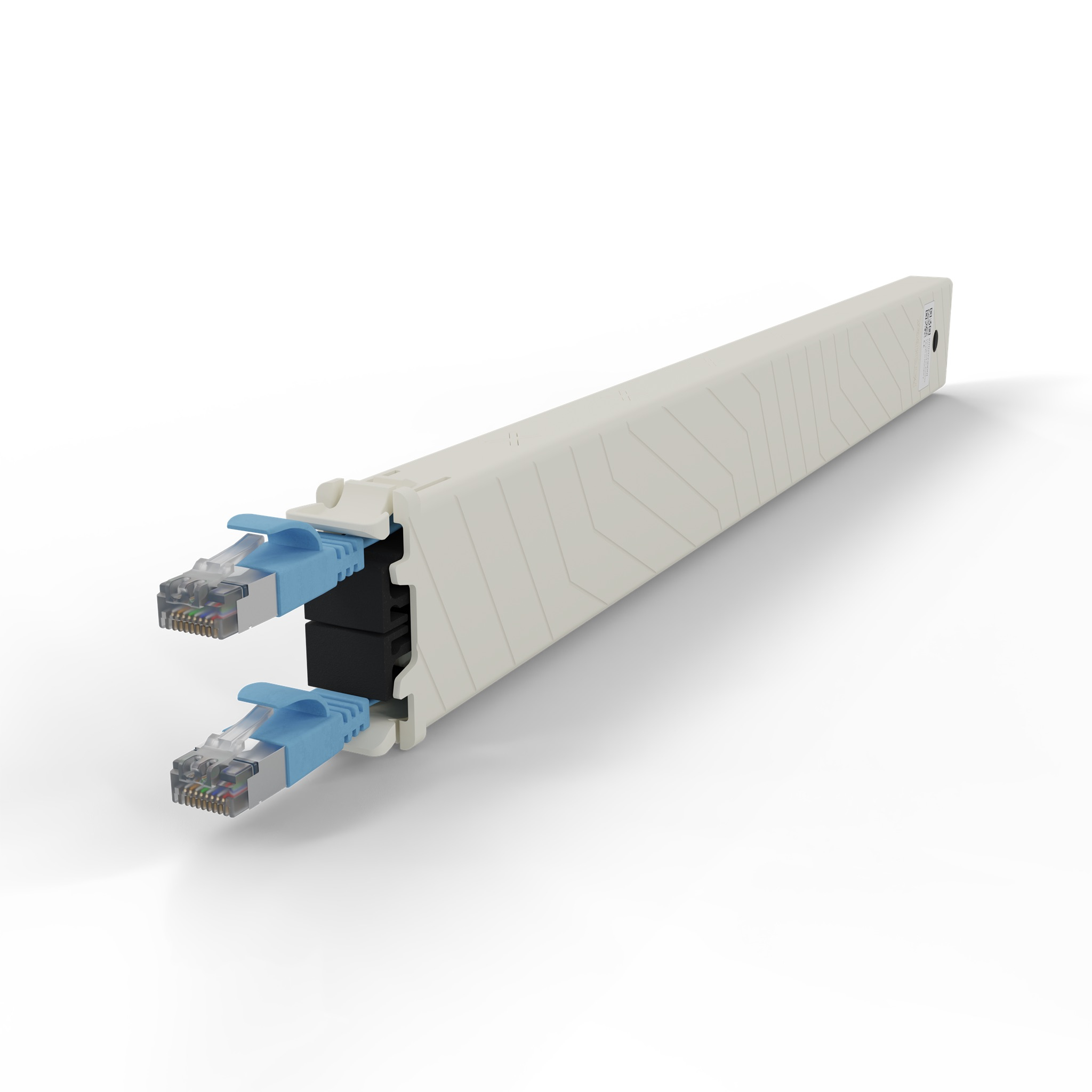 Un alloggiamento bianco con due connettori di rete blu e inserti neri.