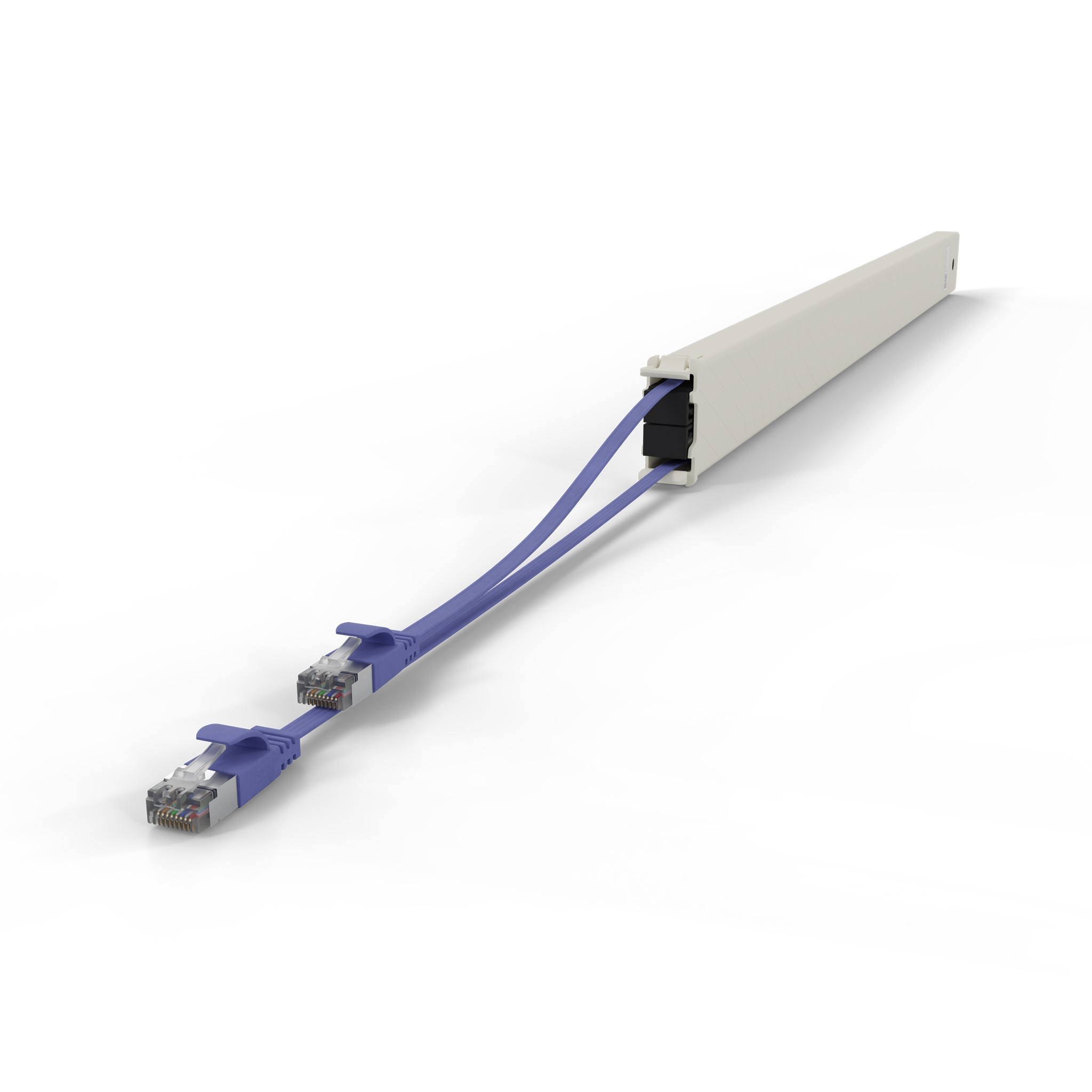 Un canalina bianca con due cavi Ethernet blu.
