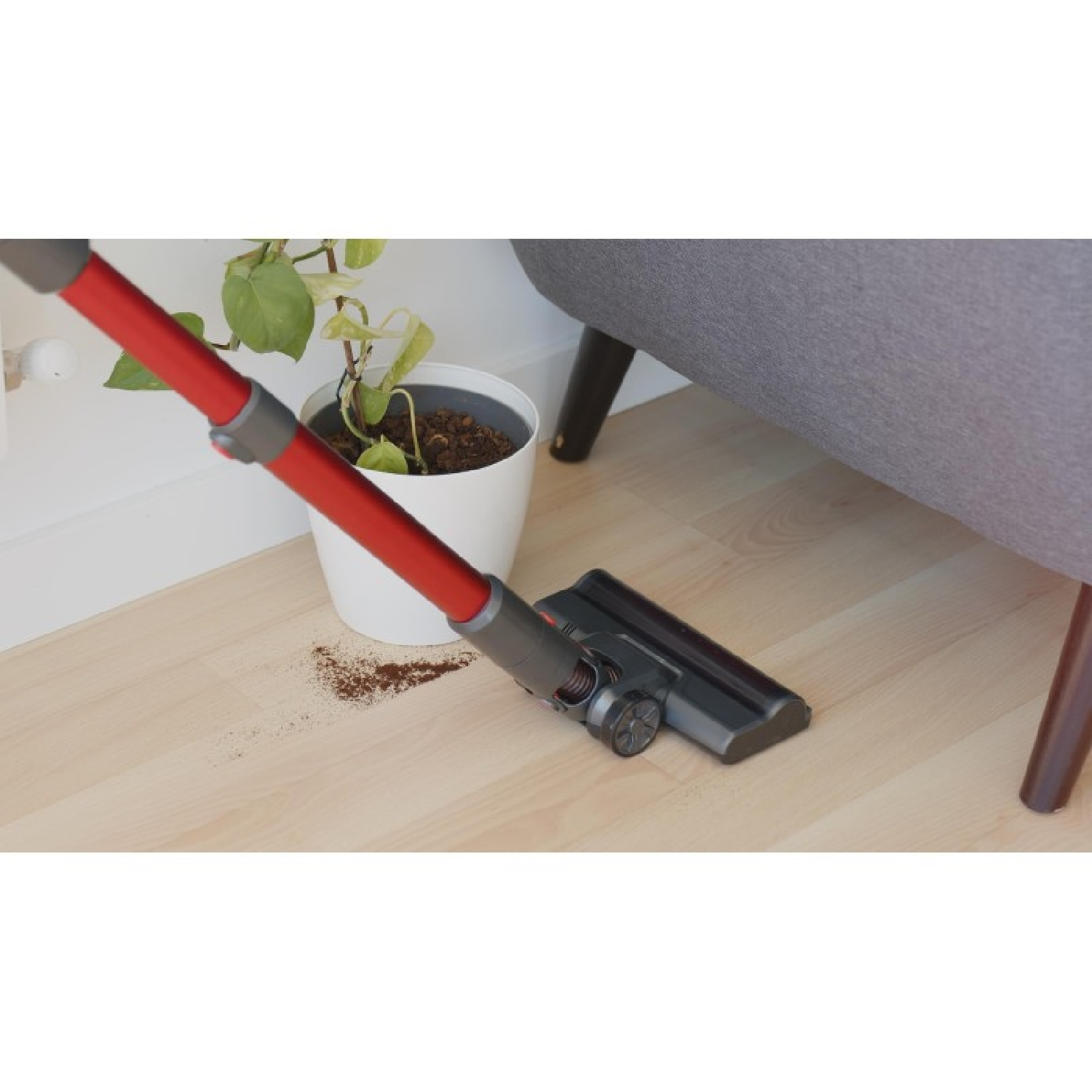 Una testina di aspirapolvere pulisce un pavimento in legno accanto a una pianta in vaso.