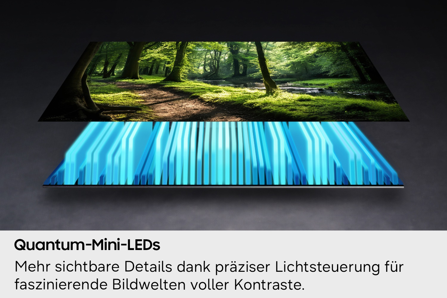 Waldweg mit Bäumen und blauem Lichtstreifen darunter.