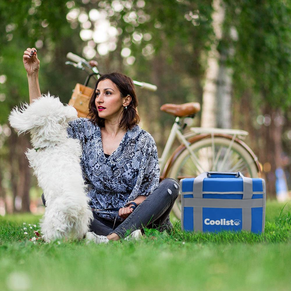 Bir kadın parkta beyaz bir köpekle, bisiklet ve soğutucu çantasının yanında oynuyor.