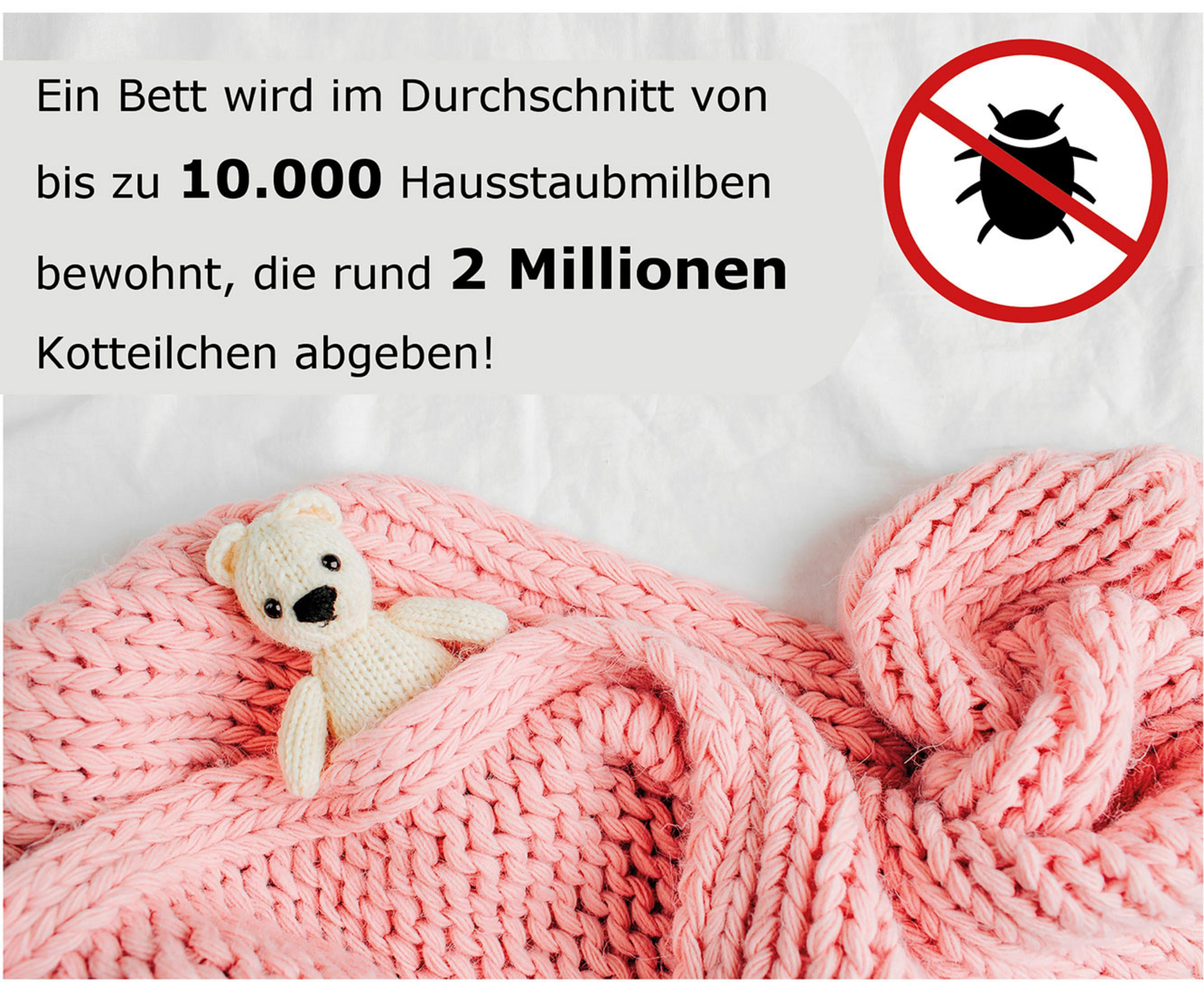 Ein Teddybär in einer rosa Decke. Ein Verbotsschild für Insekten.