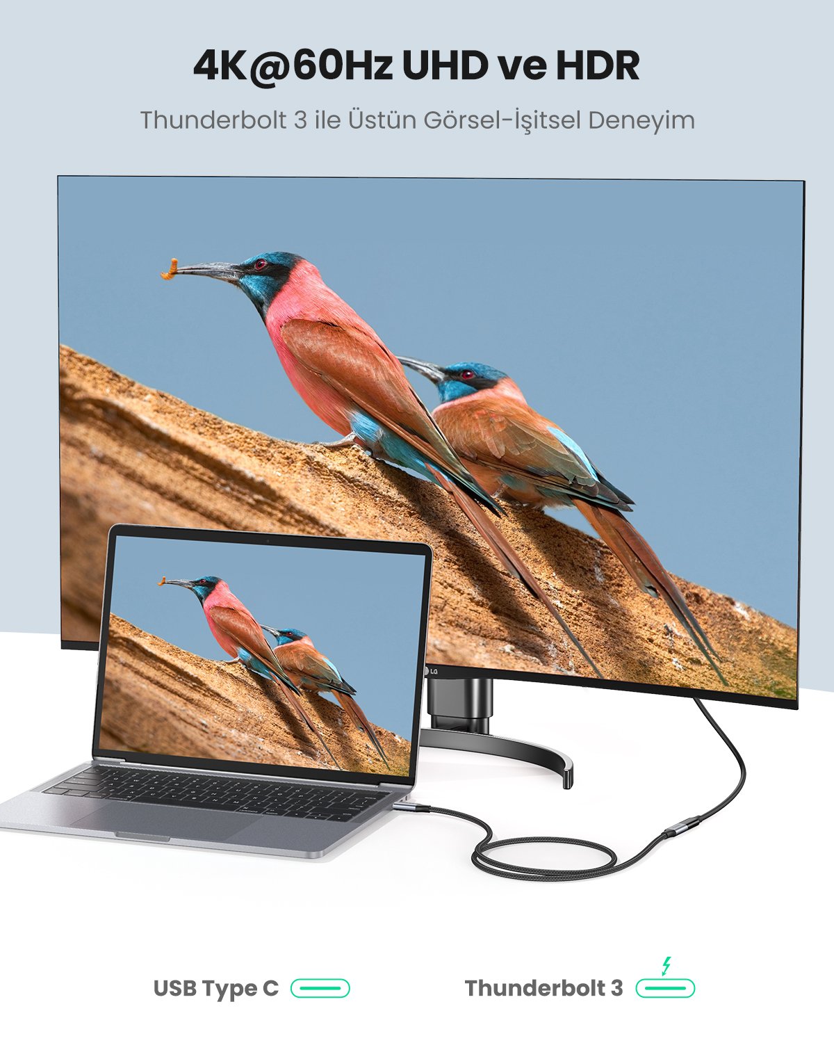 Dizüstü bilgisayar, kuşları gösteren monitöre USB-C ile bağlanır. Metin: 4K, HDR, Thunderbolt 3.