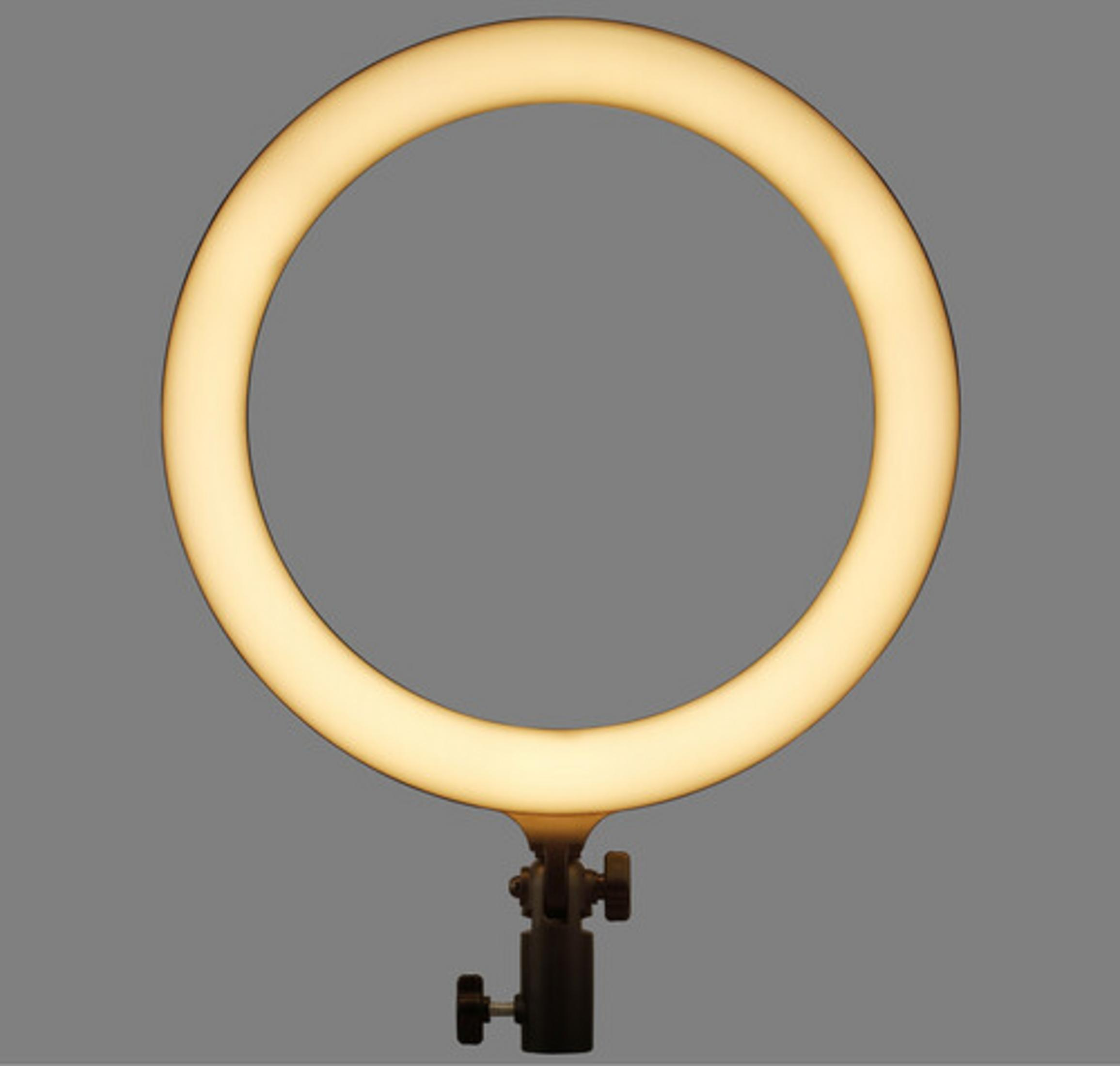 Eine leuchtende Ringlichtlampe auf einem grauen Hintergrund.