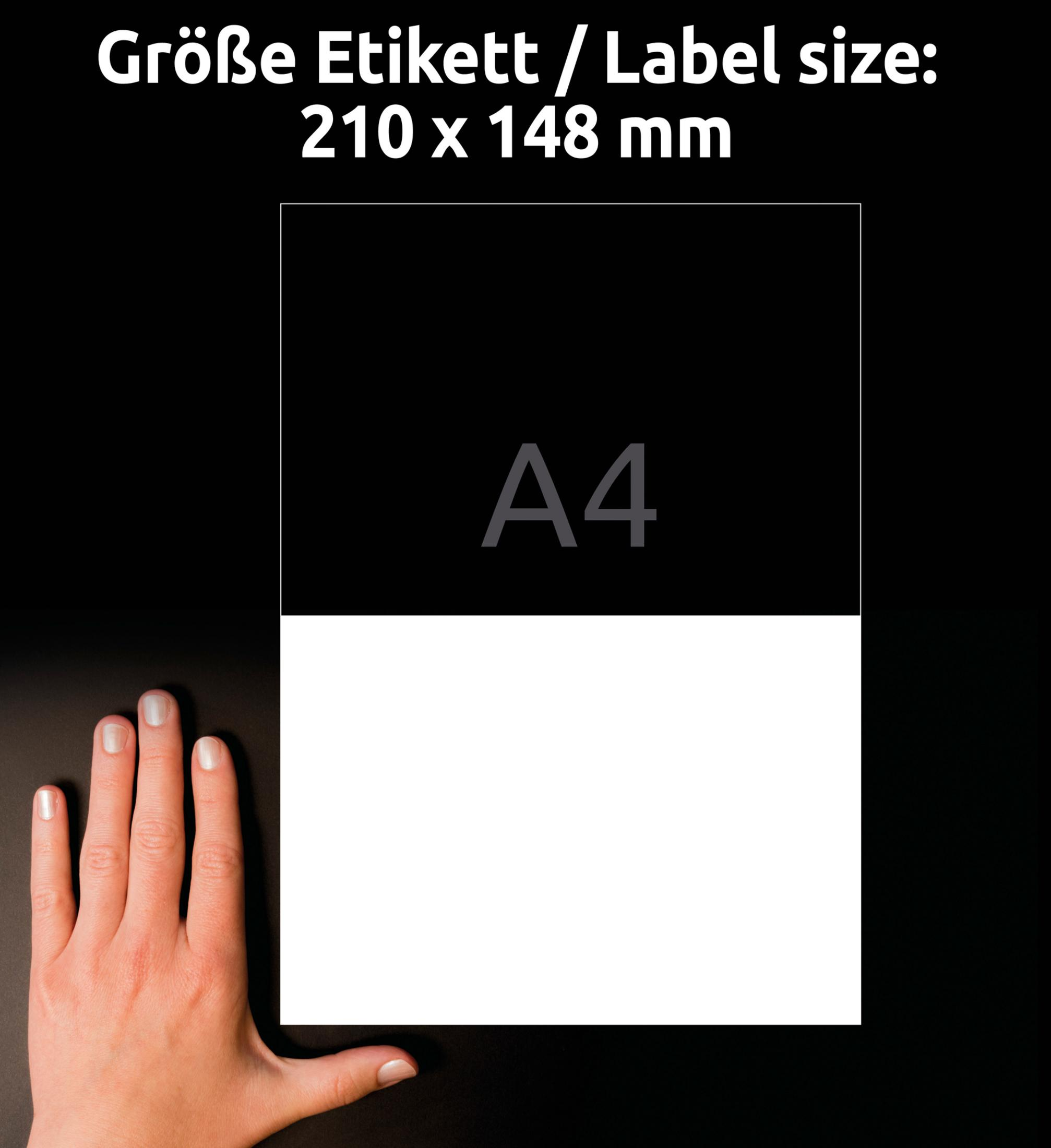 Größe Etikett: 210x148mm. Eine Hand vergleicht die Größe mit einem Blatt Papier.