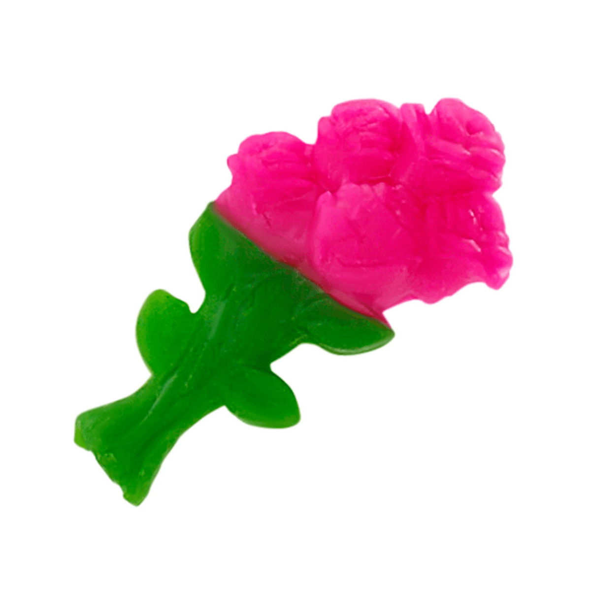 Eine lebhafte pinke Gummirose mit grünen Blättern auf weißem Hintergrund.