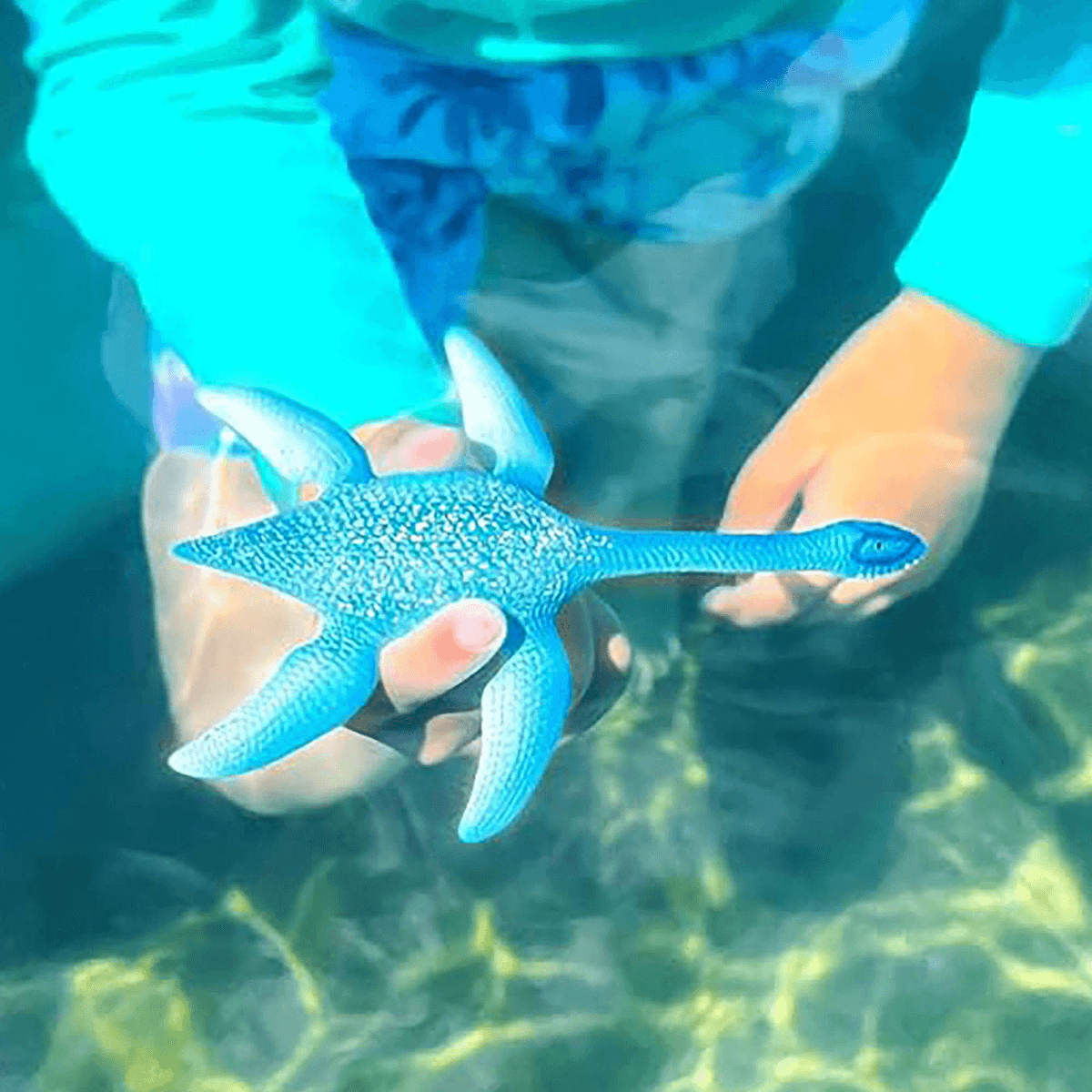 Ein blaues Plesiosaurier-Spielzeug wird von Händen in klarem Wasser gehalten.