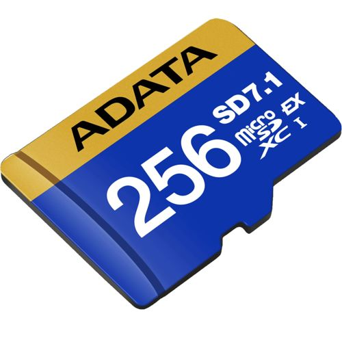 Scheda ADATA 256GB Micro SDXC I, blu e oro.
