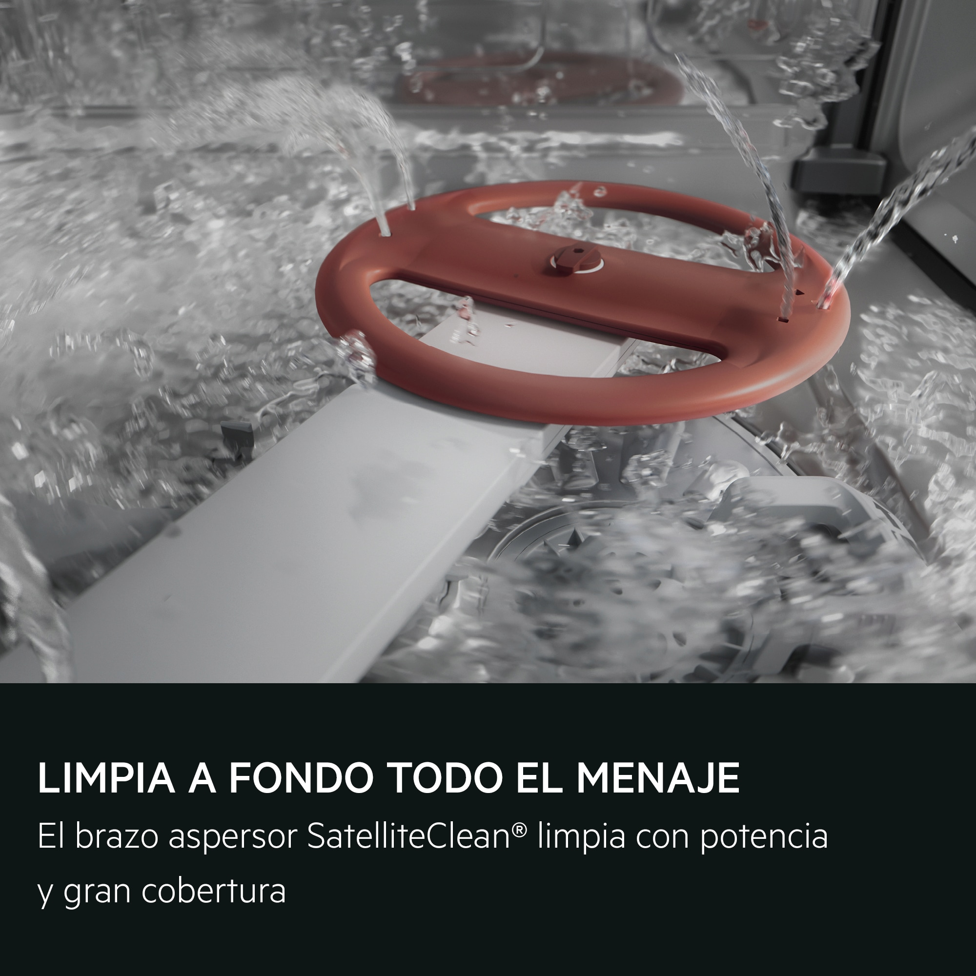 Un brazo aspersor rojo-marrón gira bajo un fuerte chorro de agua en un lavavajillas.